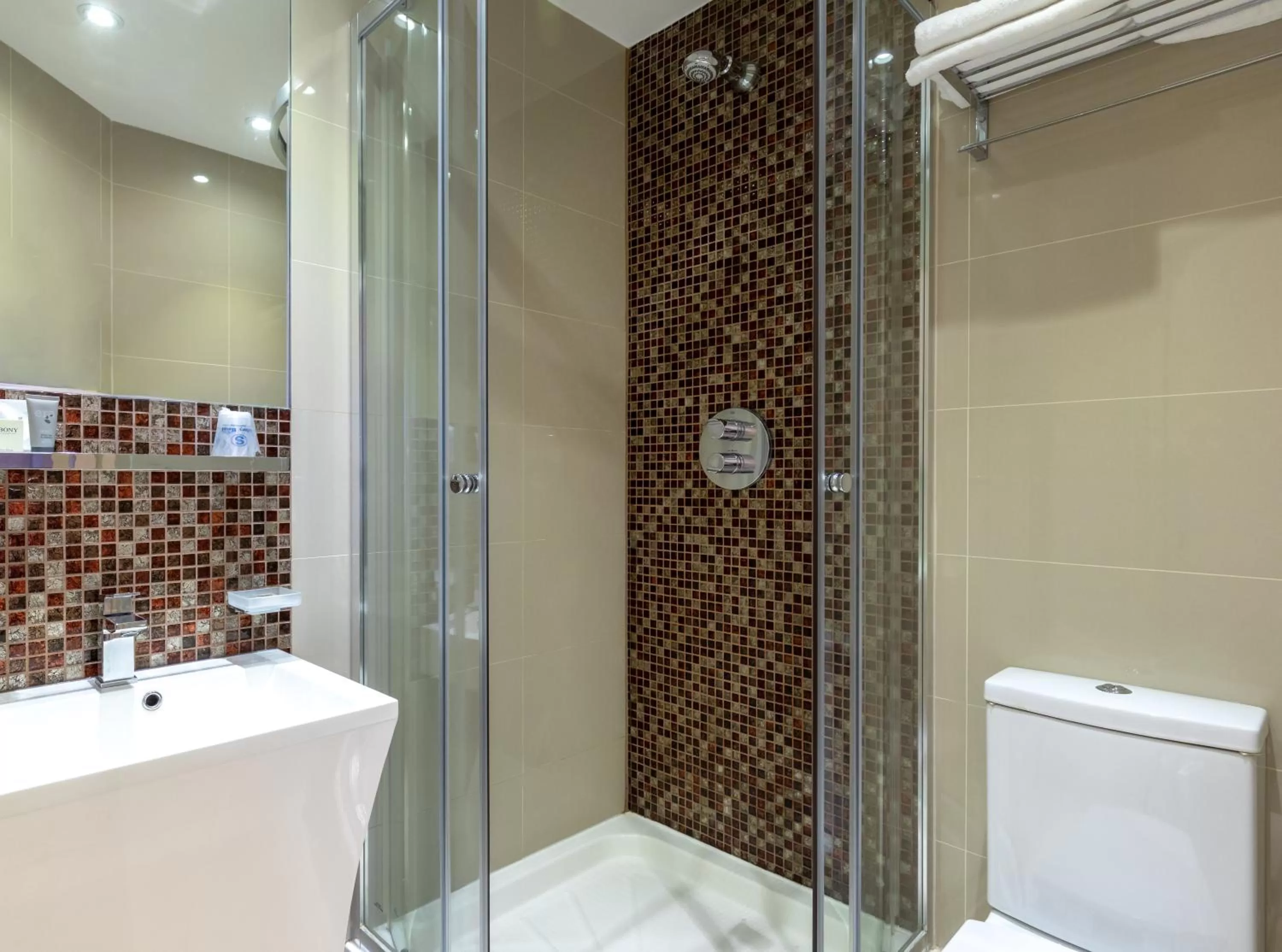 Shower in Sidney Hotel London-Victoria