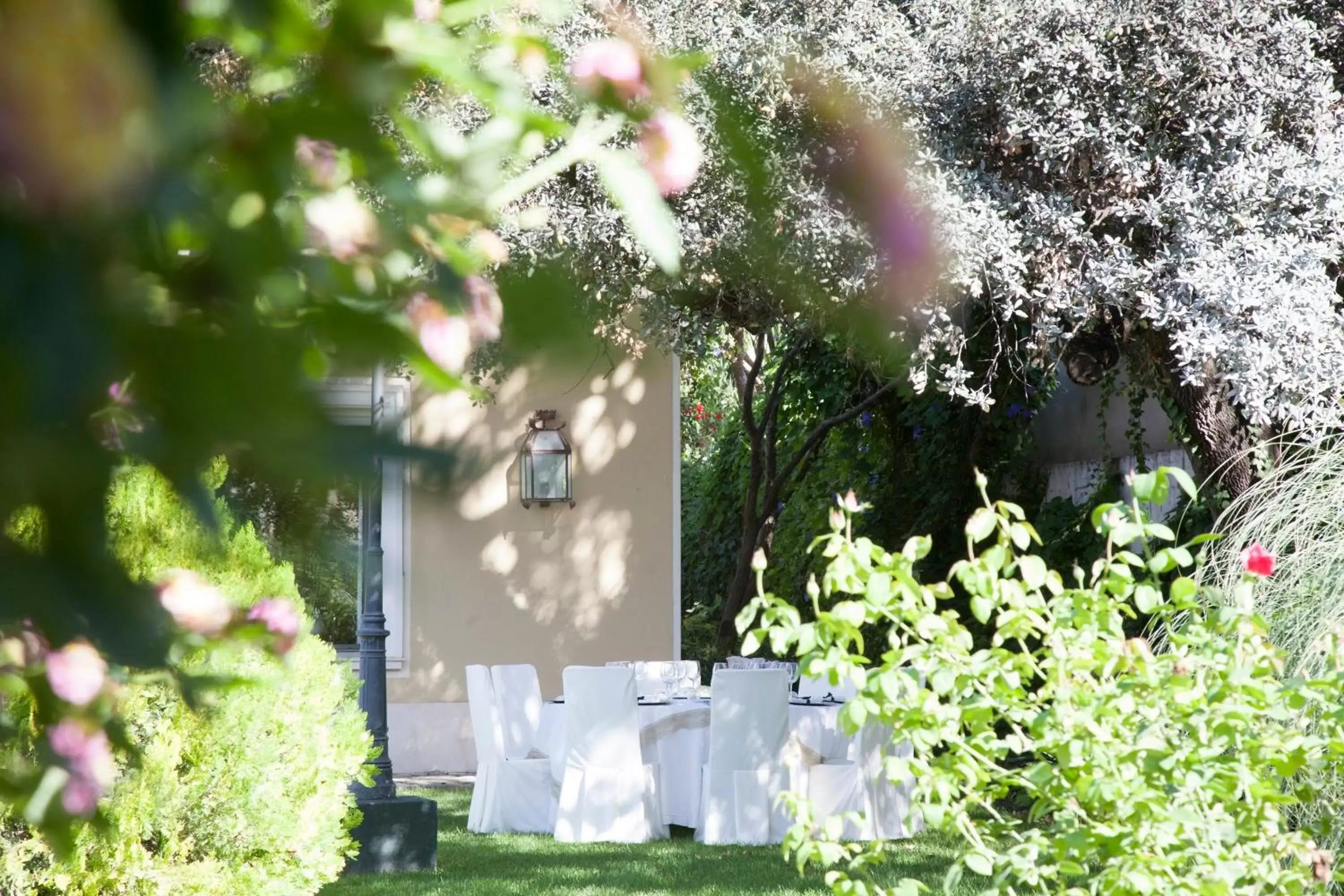 Garden in Villa Jerez