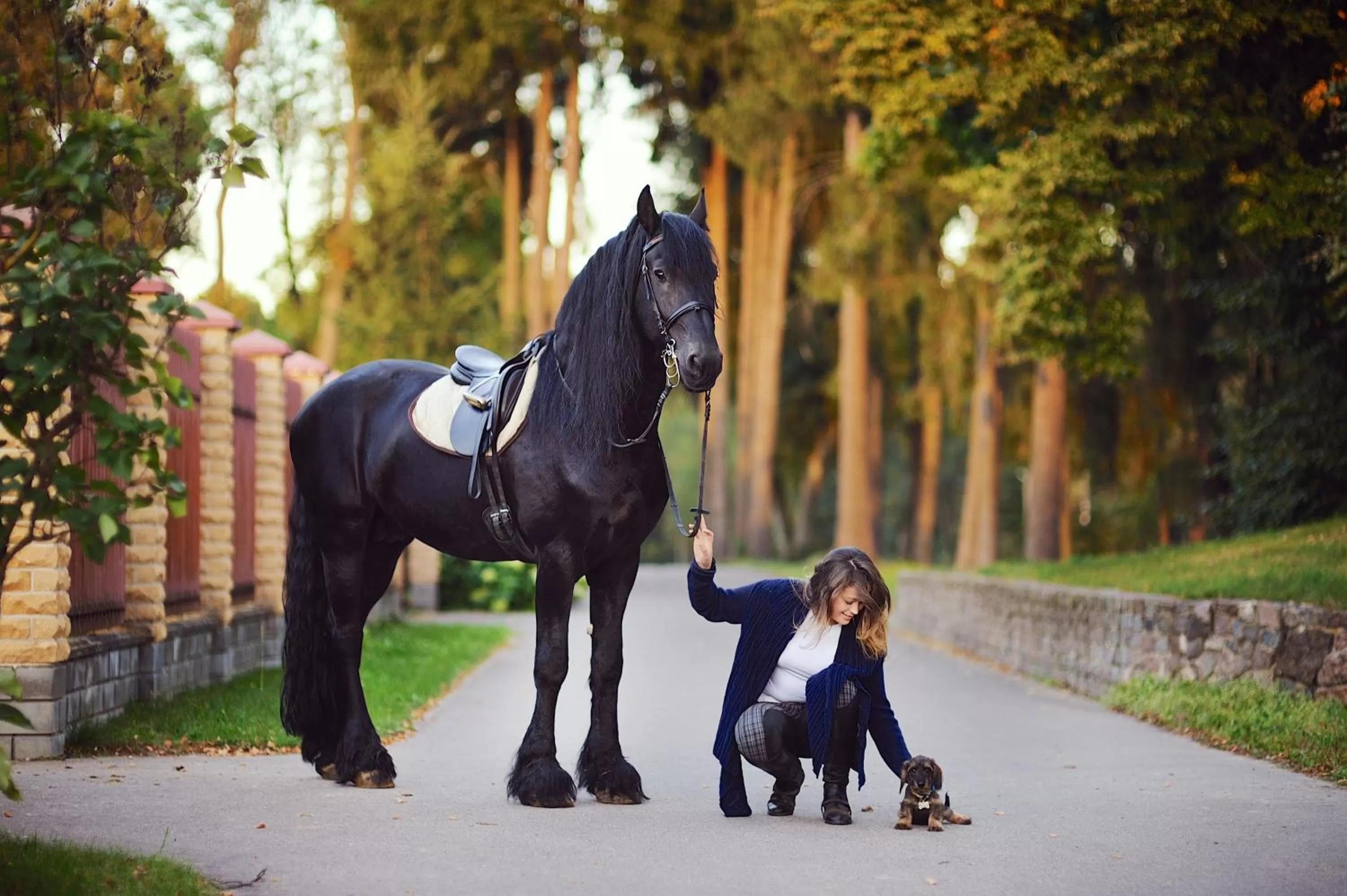 People in Harmony Park Hotel & SPA