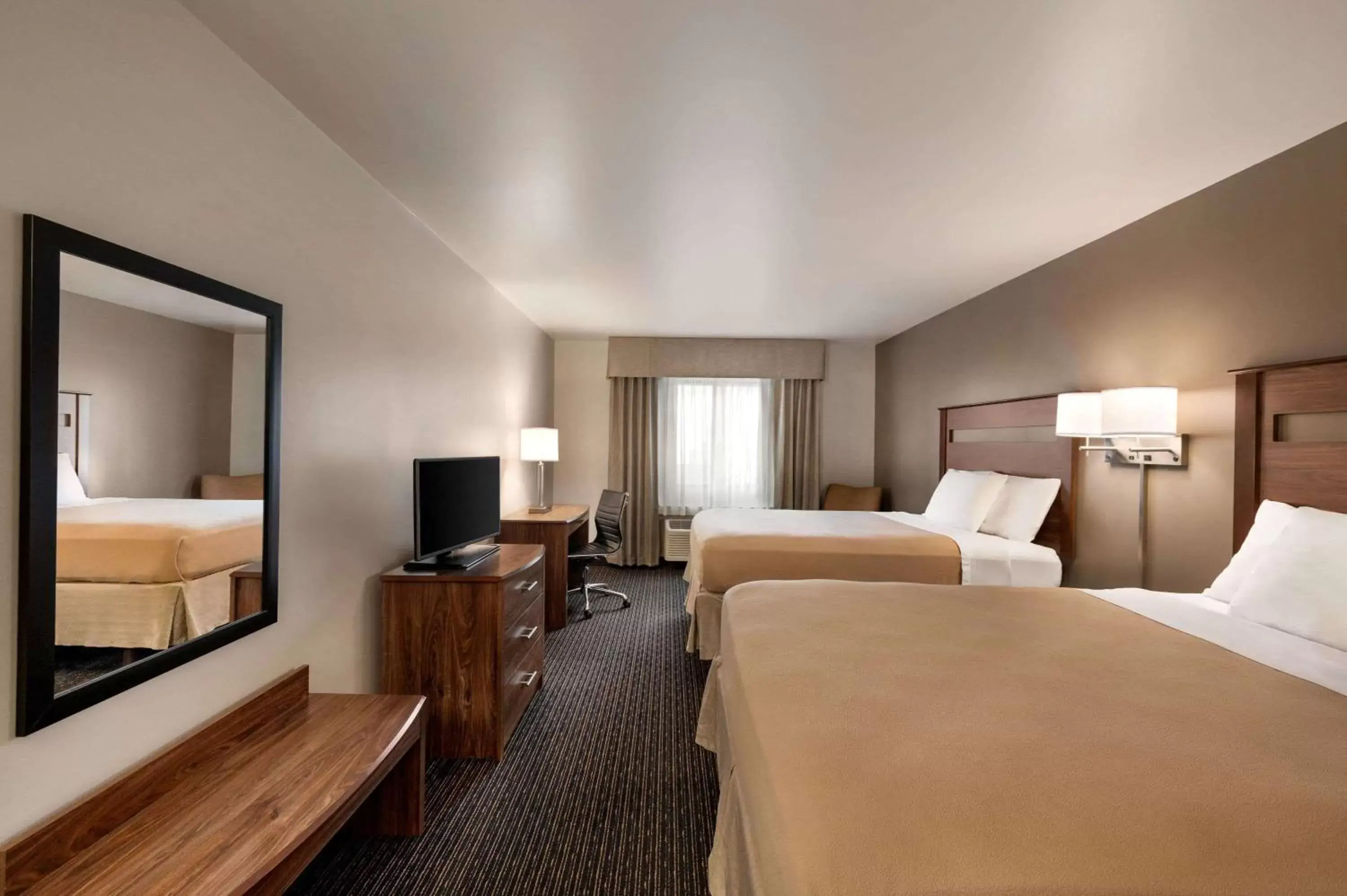 Photo of the whole room, Bed in Baymont by Wyndham Buffalo Photo of the whole room, Bed in Baymont by Wyndham Buffalo