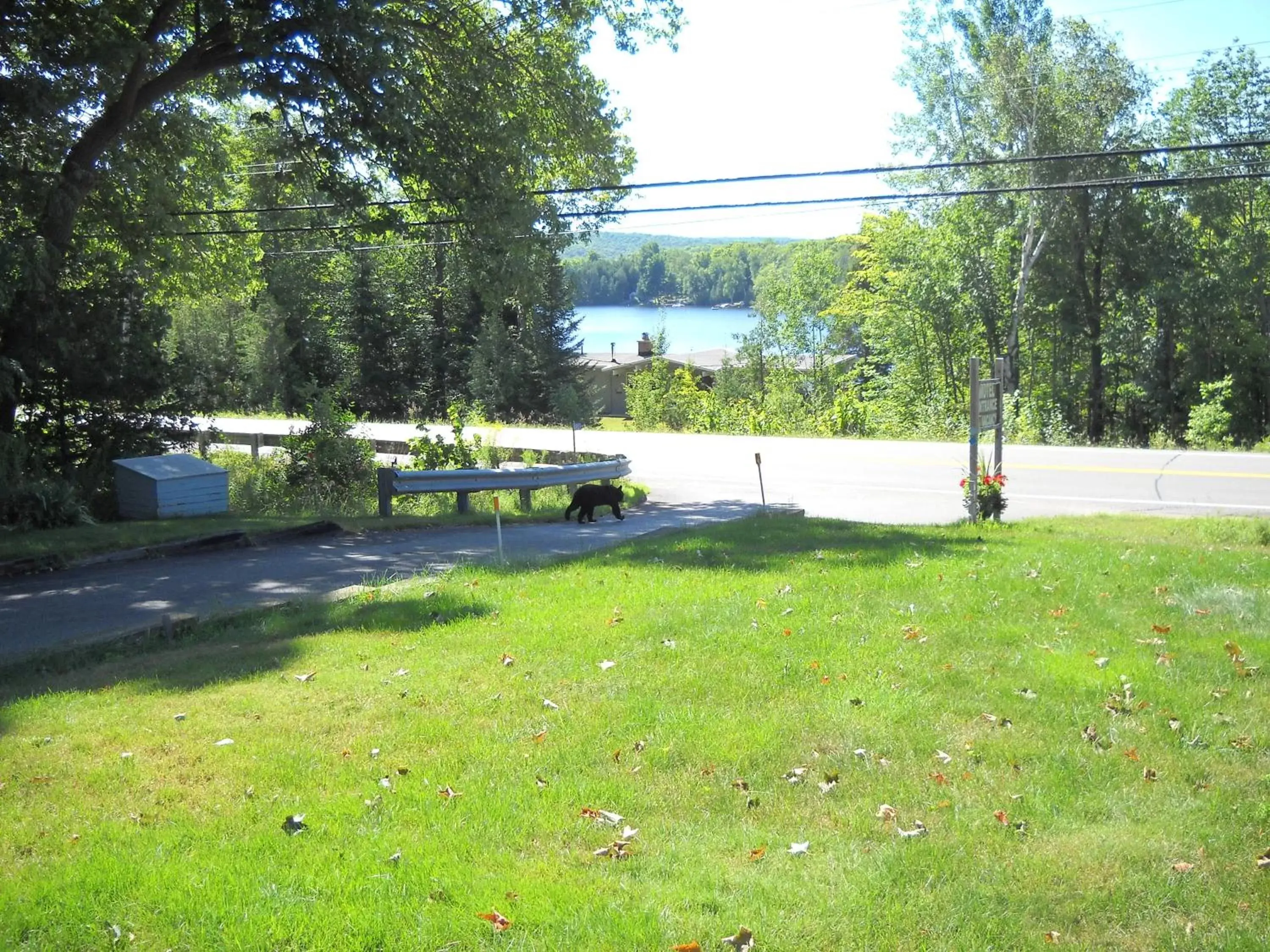 Area and facilities, Garden in Lakeview Motel