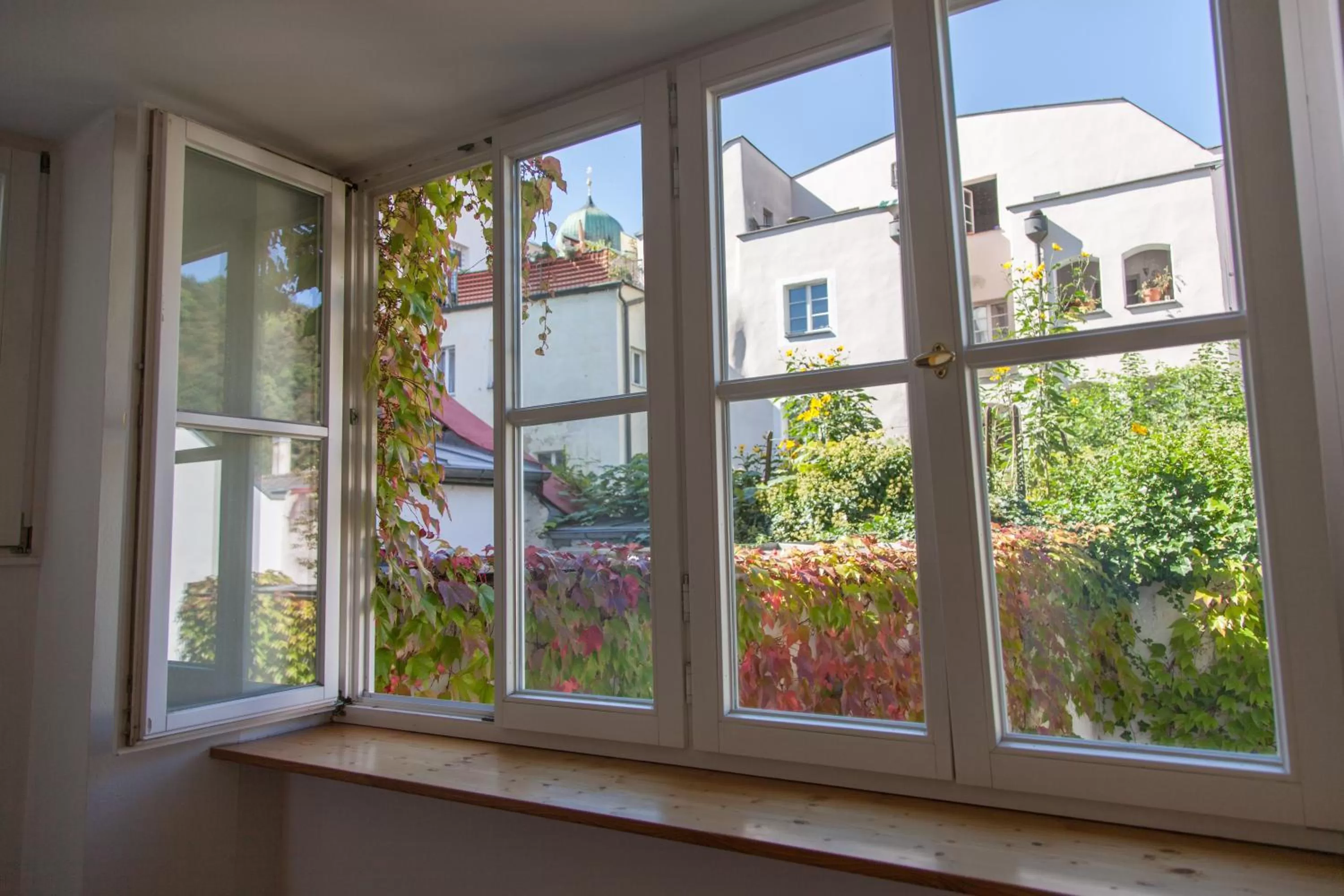 View (from property/room) in Hotel Wilder Mann