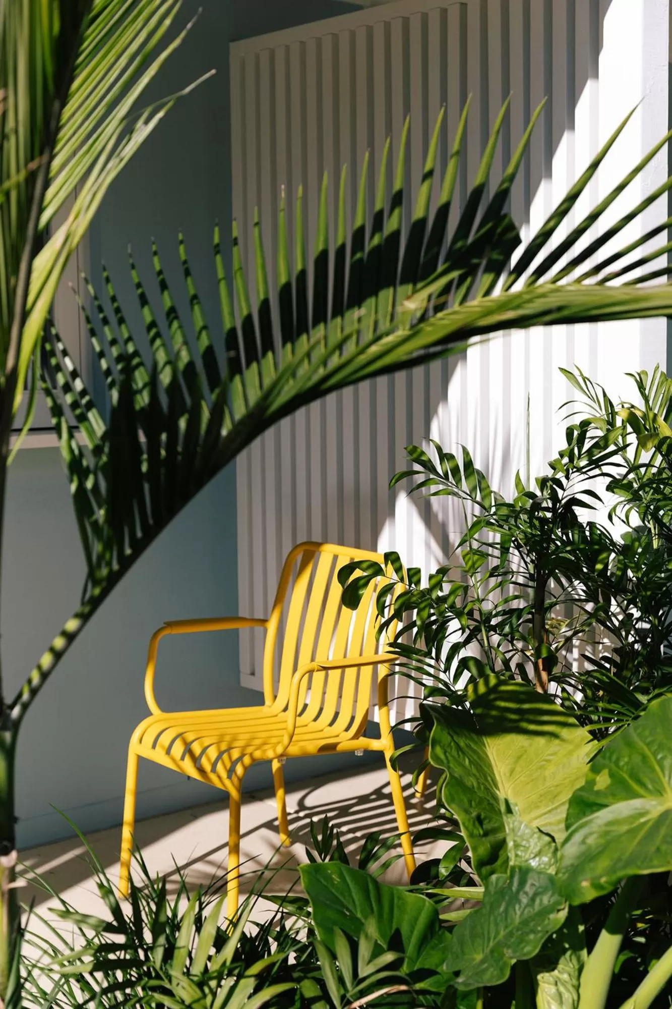 Patio in The Blue Water Motel