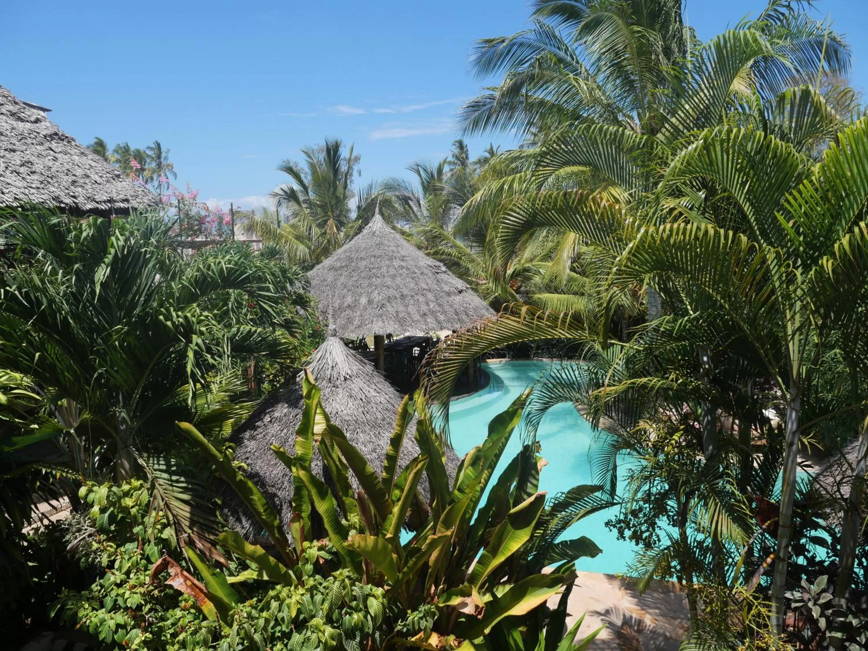 Bird's eye view, Pool View in Aluna Nungwi