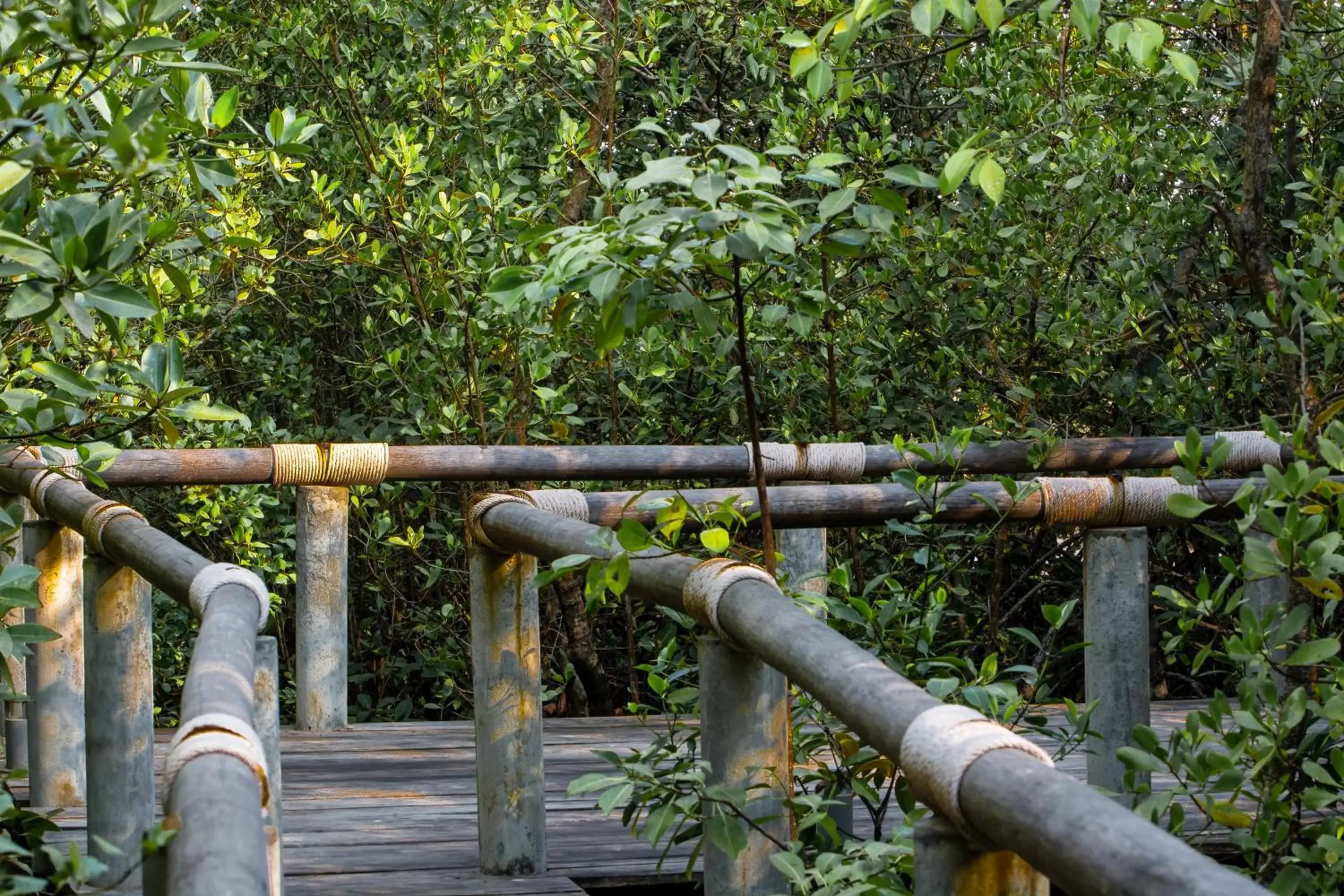 View (from property/room) in Samanea Beach Resort & Spa View (from property/room) in Samanea Beach Resort & Spa