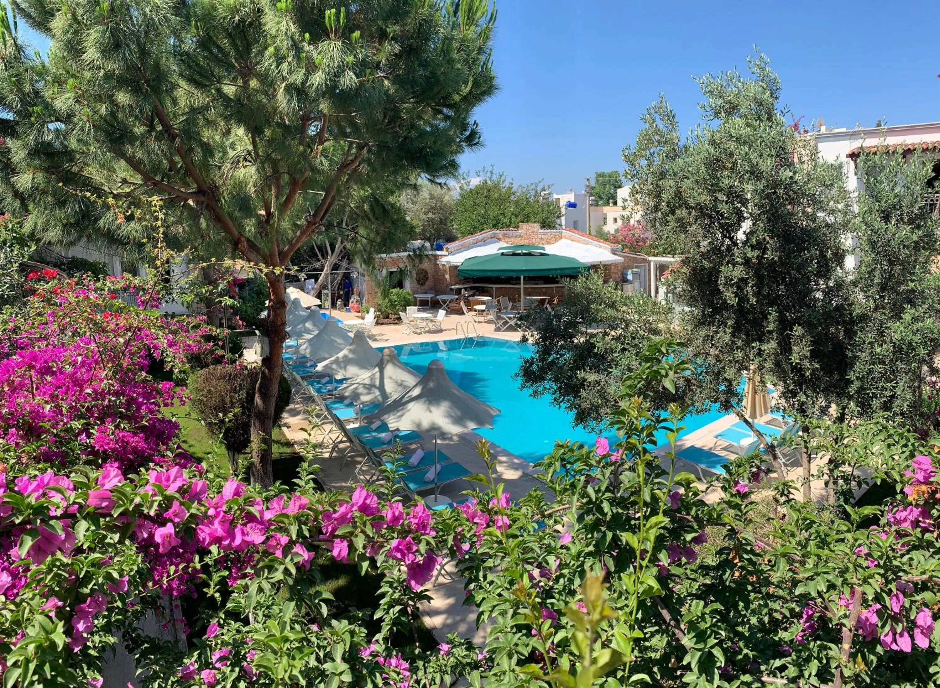 Restaurant/places to eat in Moonshine Hotel & Suites