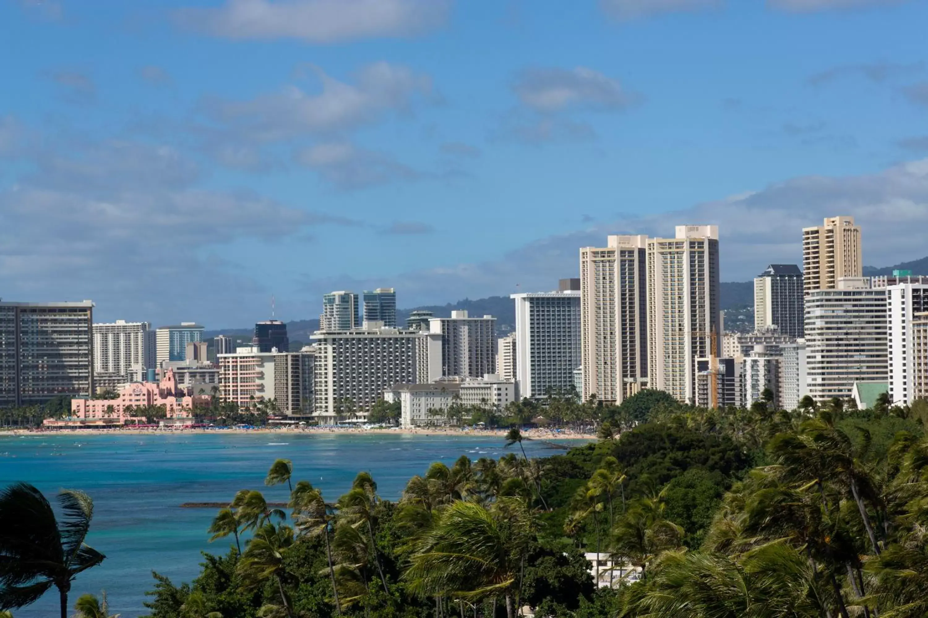 Neighbourhood in Lotus Honolulu at Diamond Head