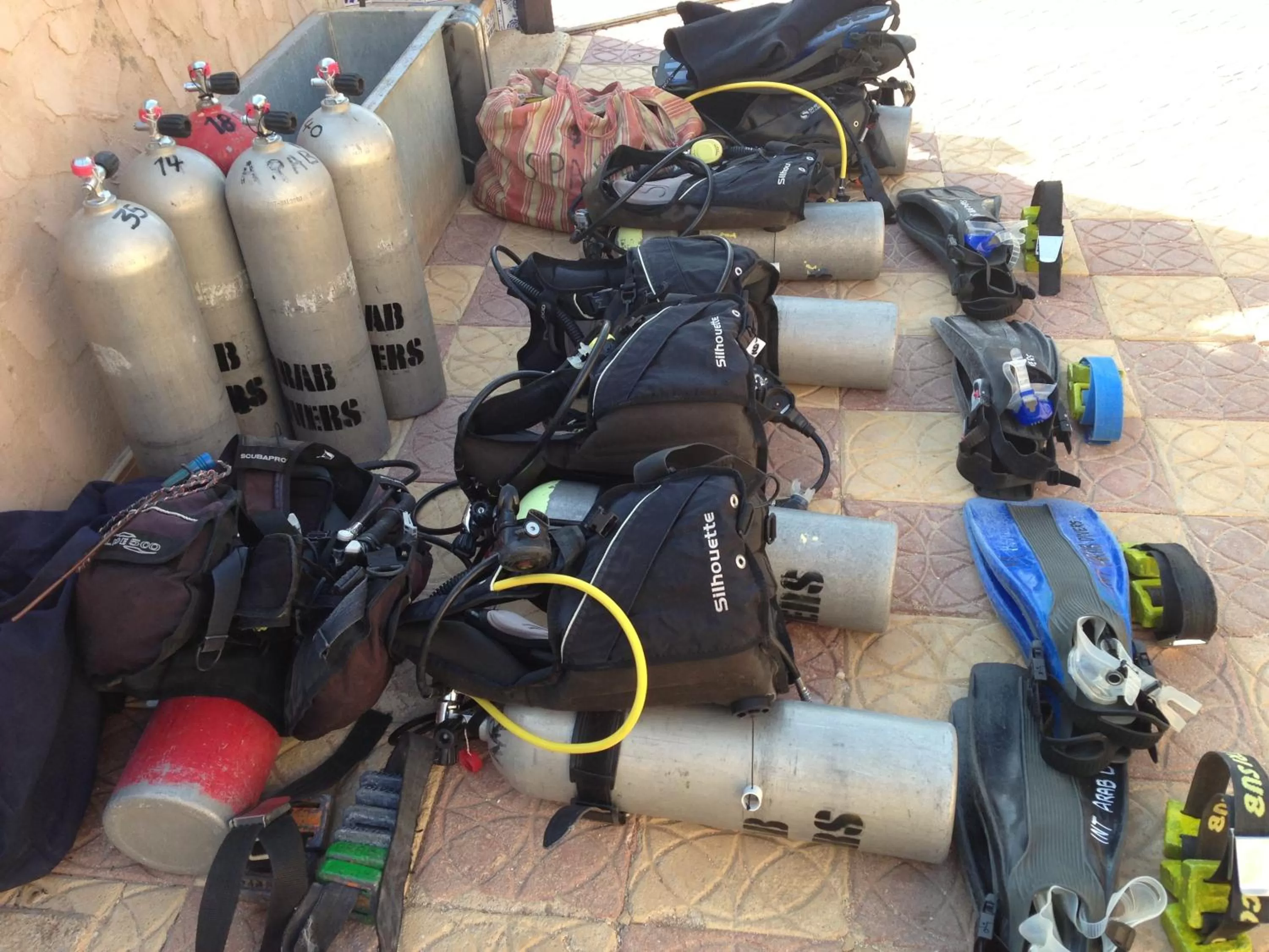 Diving in Arab Divers Dive Center and Bed & Breakfast