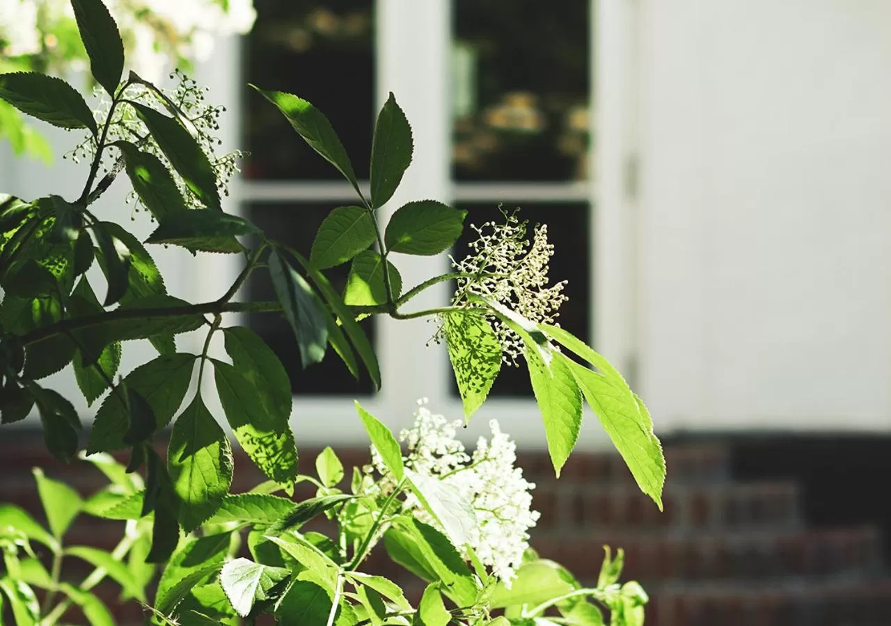 Property building in Fladbro Kro