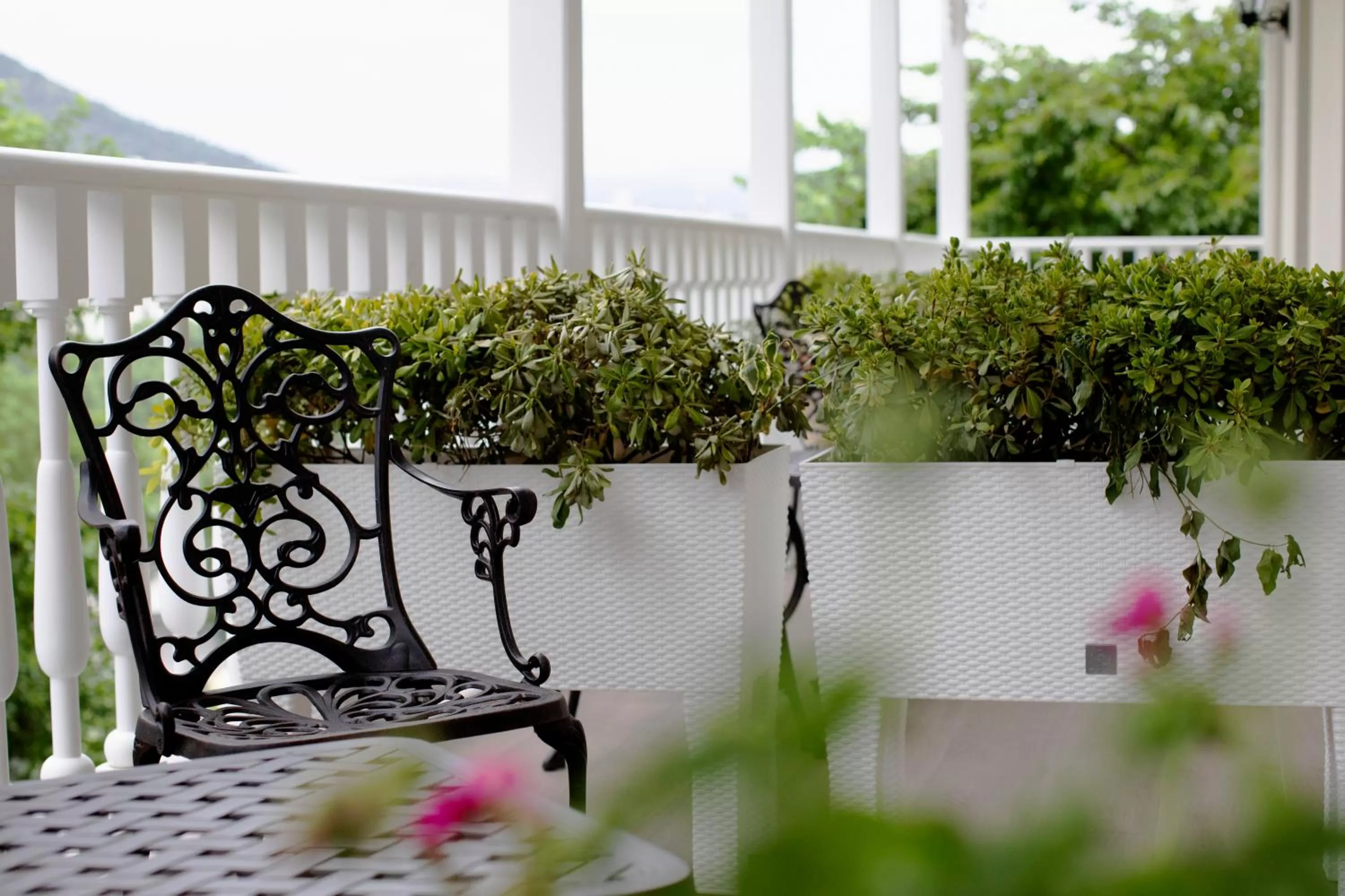 Balcony/Terrace in Hotel Passport Tbilisi