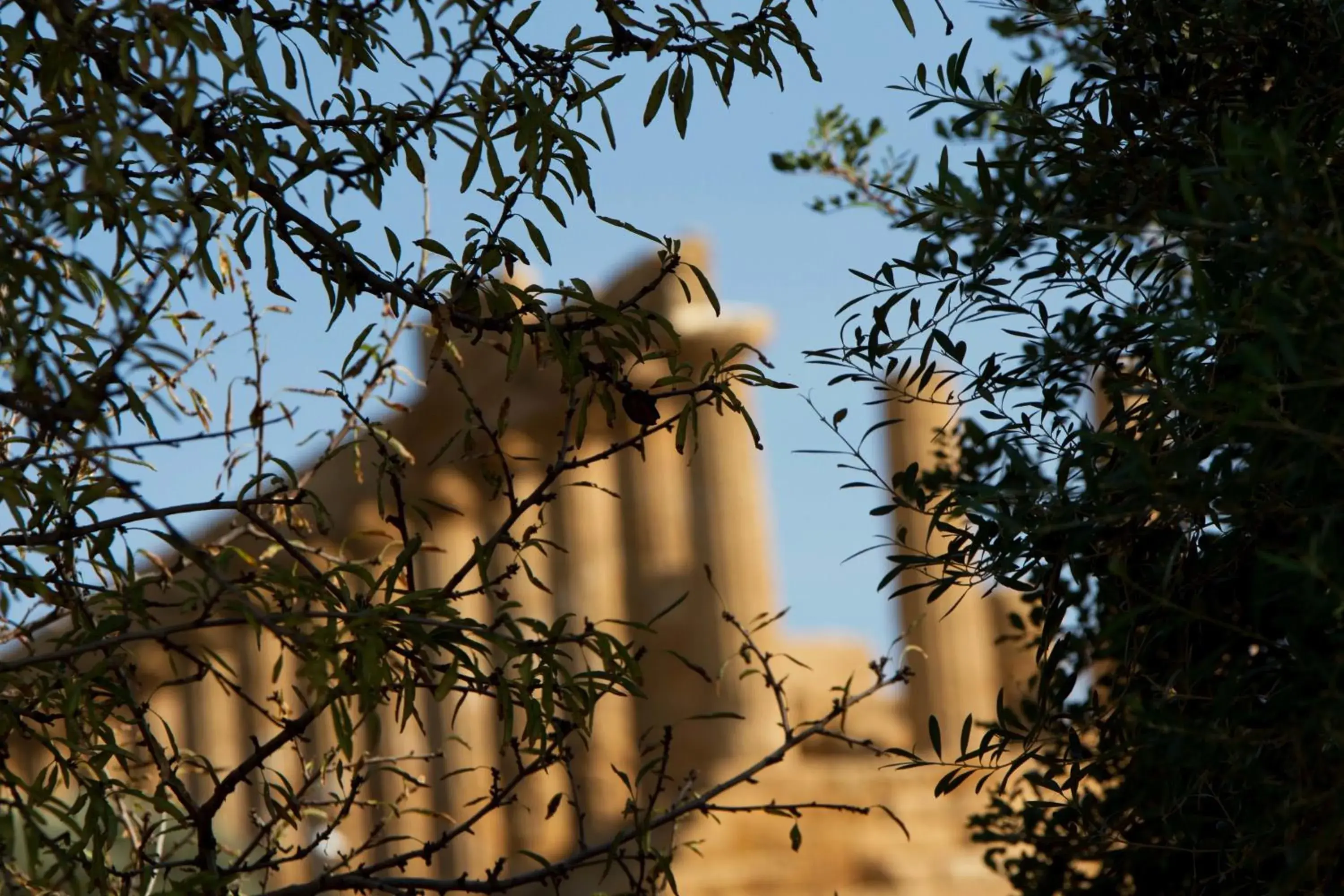 Natural landscape in Masseria Agnello