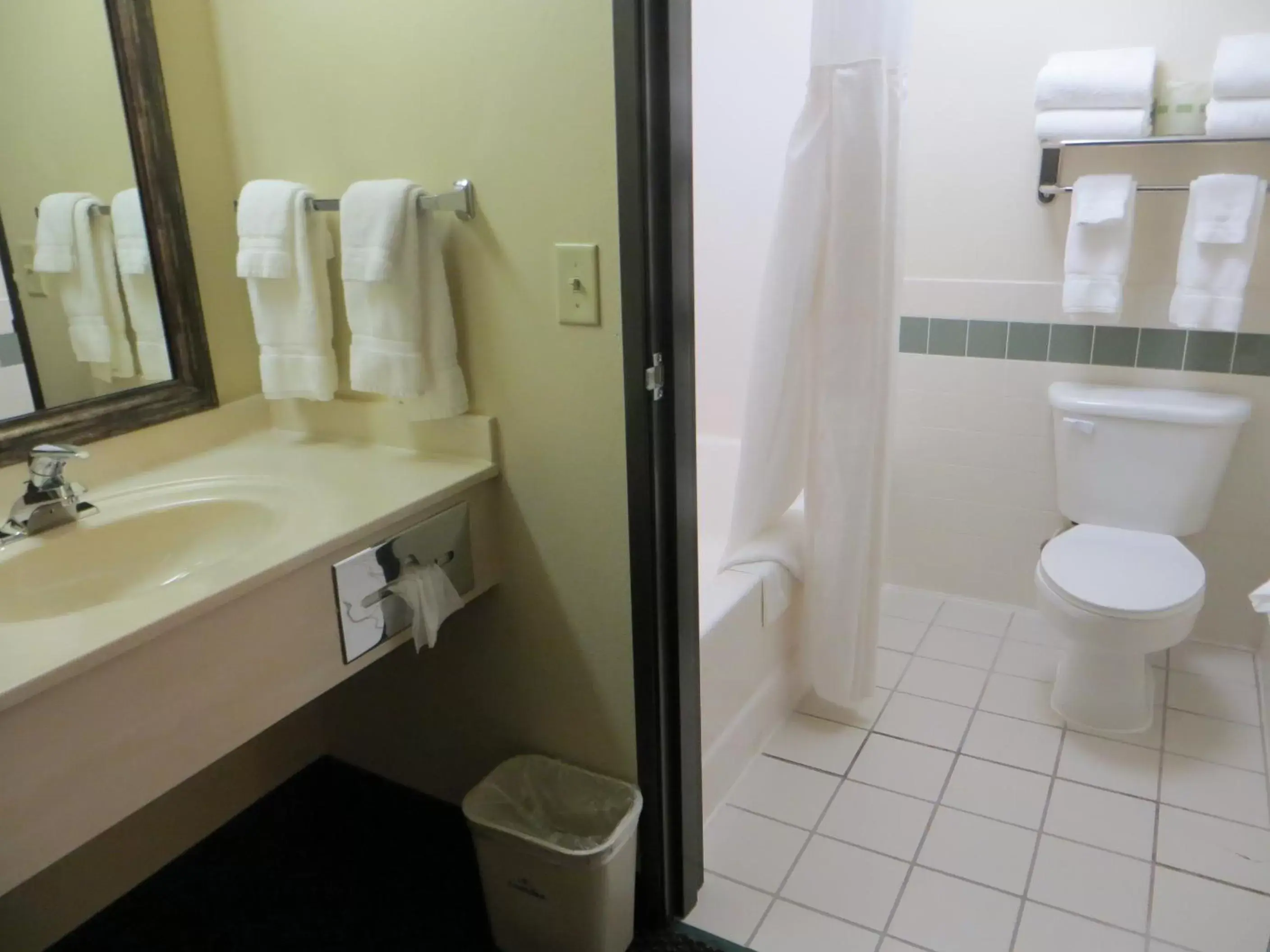 Bathroom in Cobblestone Hotel and Suites - Baldwin