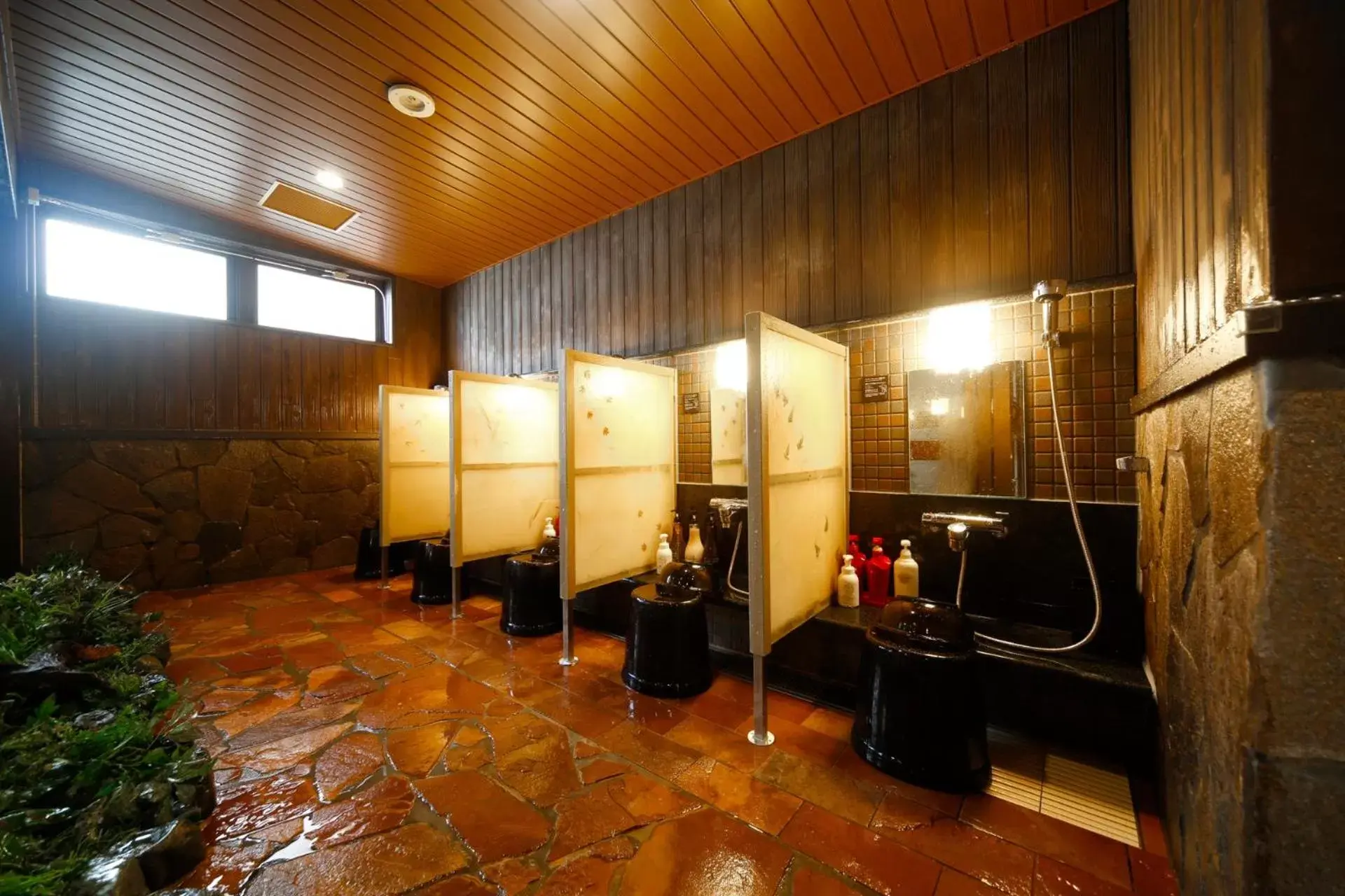 Public Bath, Bathroom in Dormy Inn Toyama Natural Hot Spring