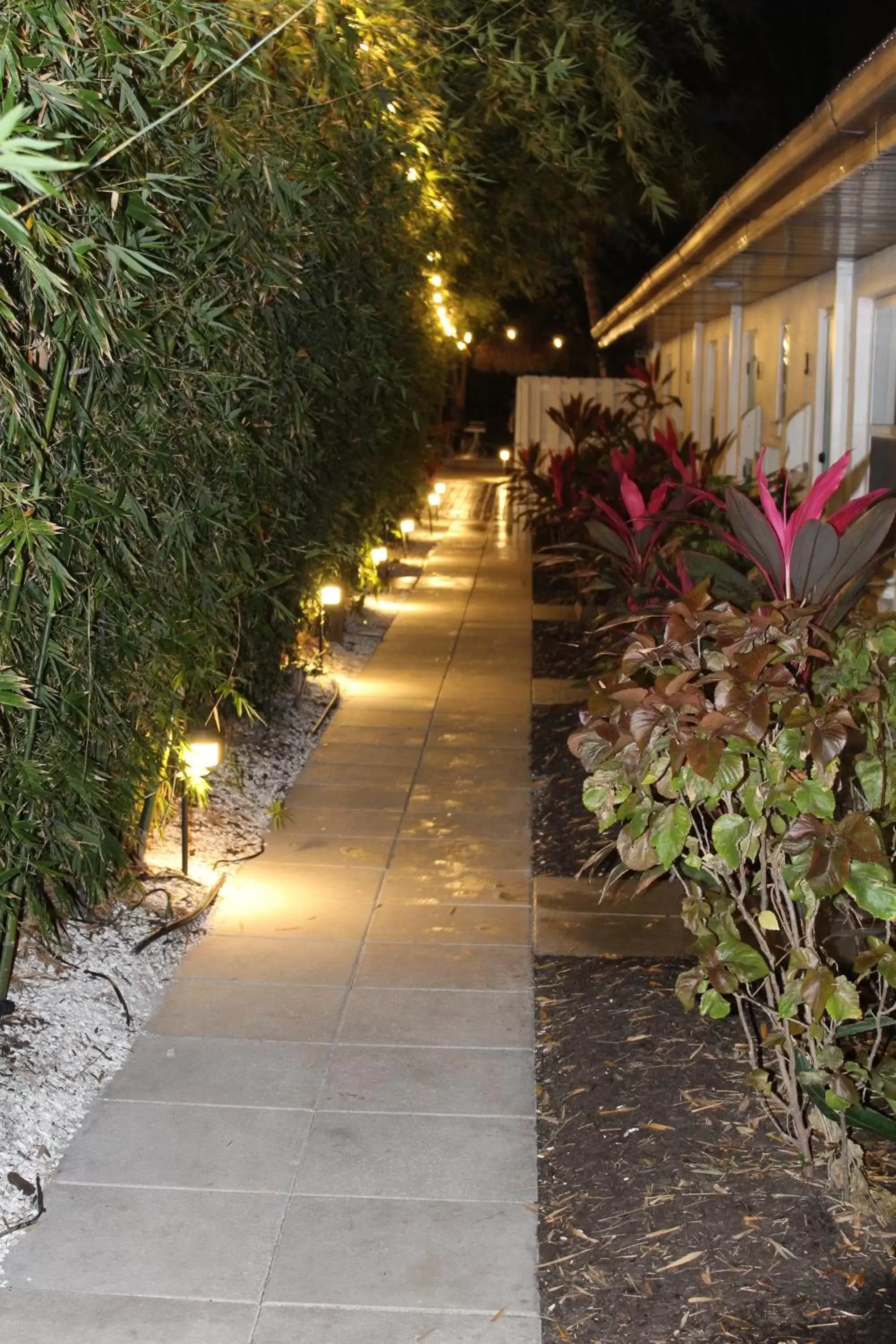 Garden in Siesta Key Palms Resort