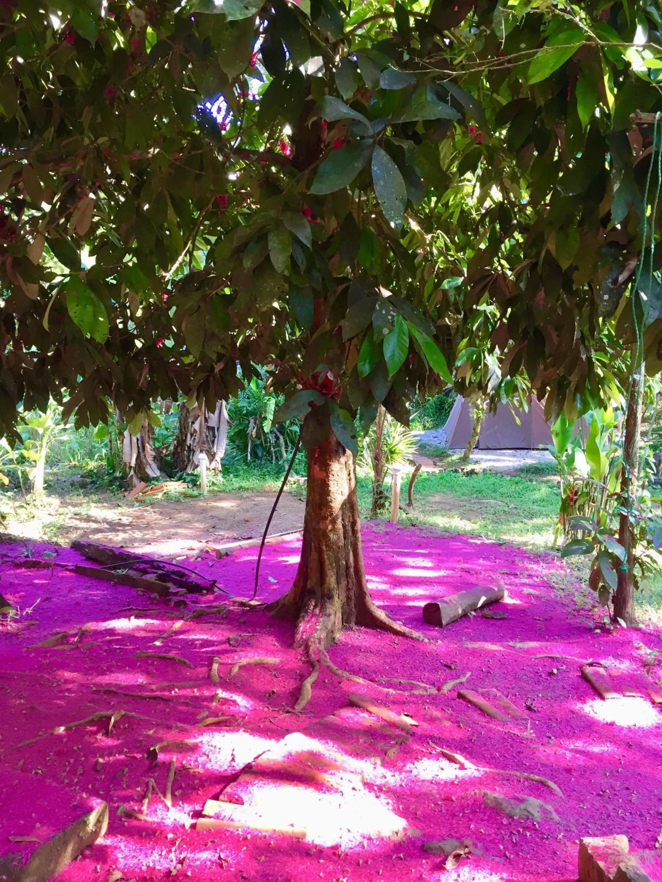 Garden in Sitio Simple Life