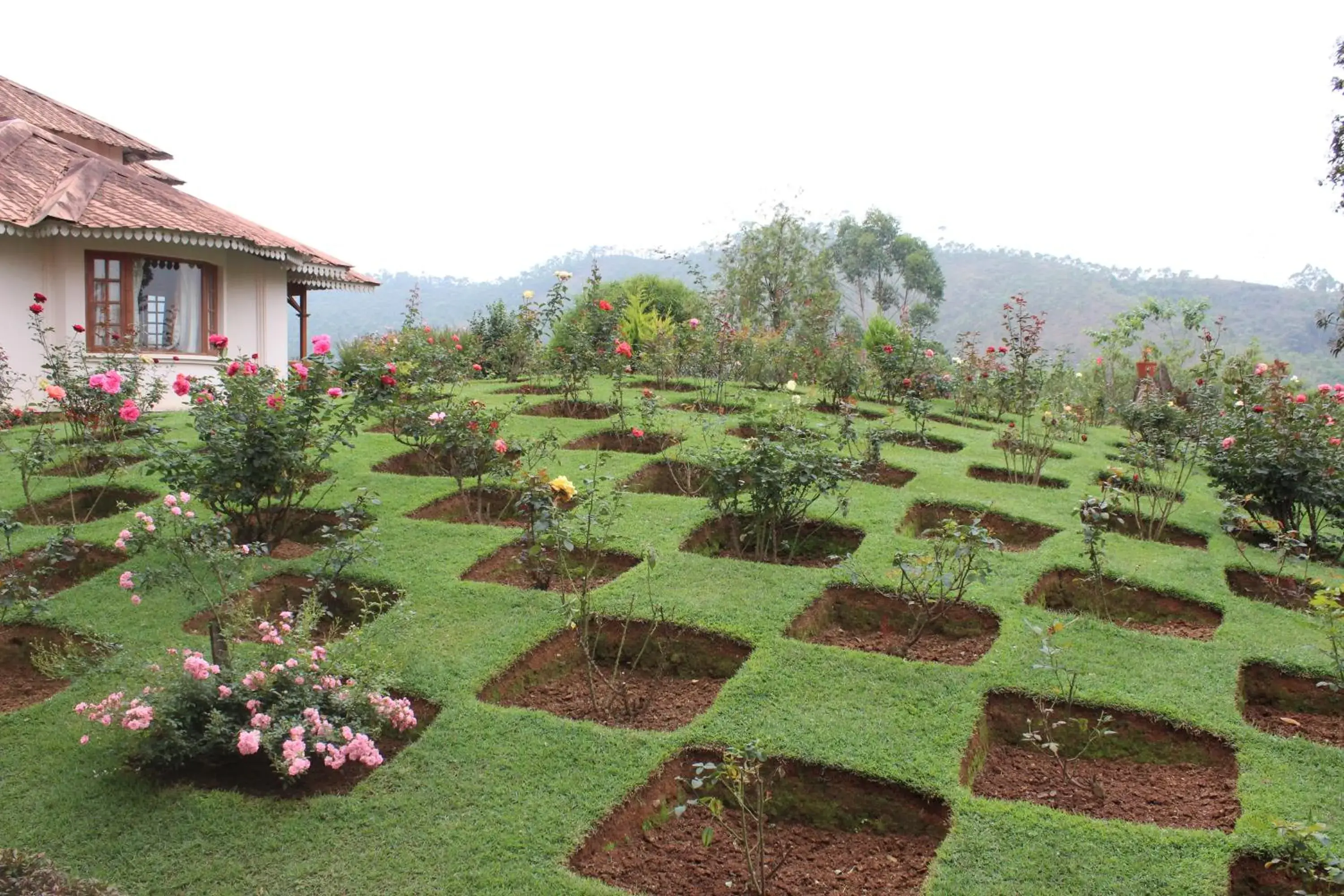 View (from property/room) in Ktdc Tea County Resort