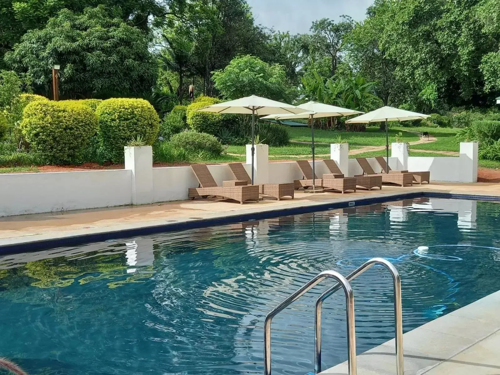 Swimming Pool in Nut Grove Manor Boutique Hotel