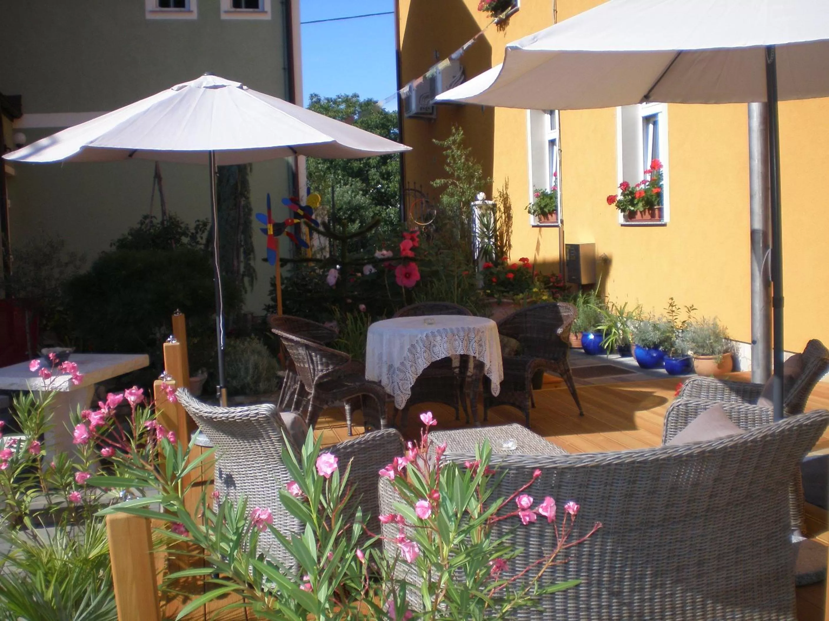 Garden in Hostel Sonce