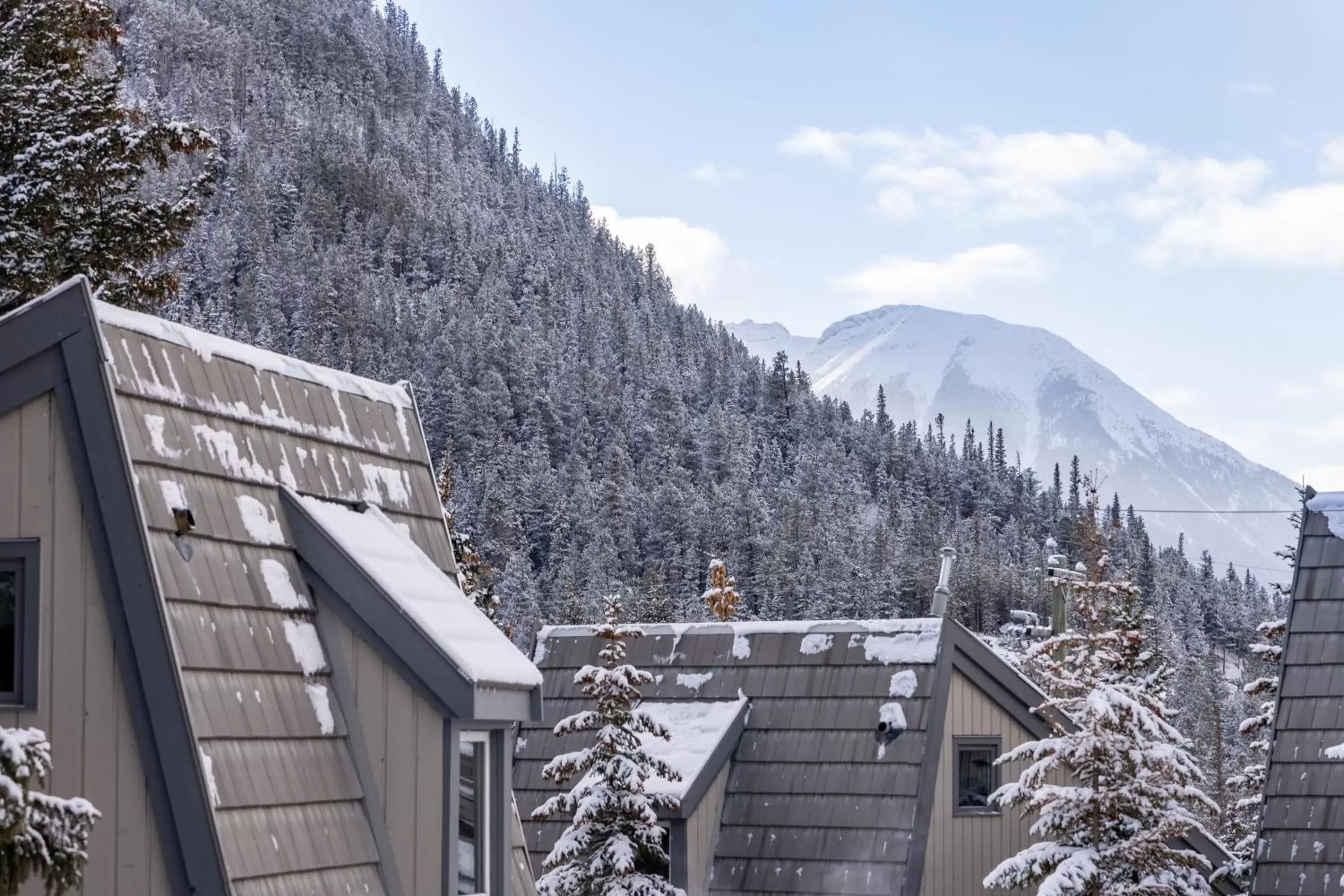 Winter in Tunnel Mountain Resort