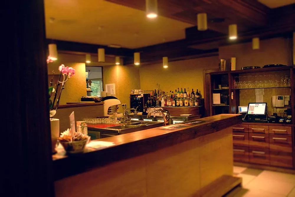 Lounge or bar in Hotel Opara