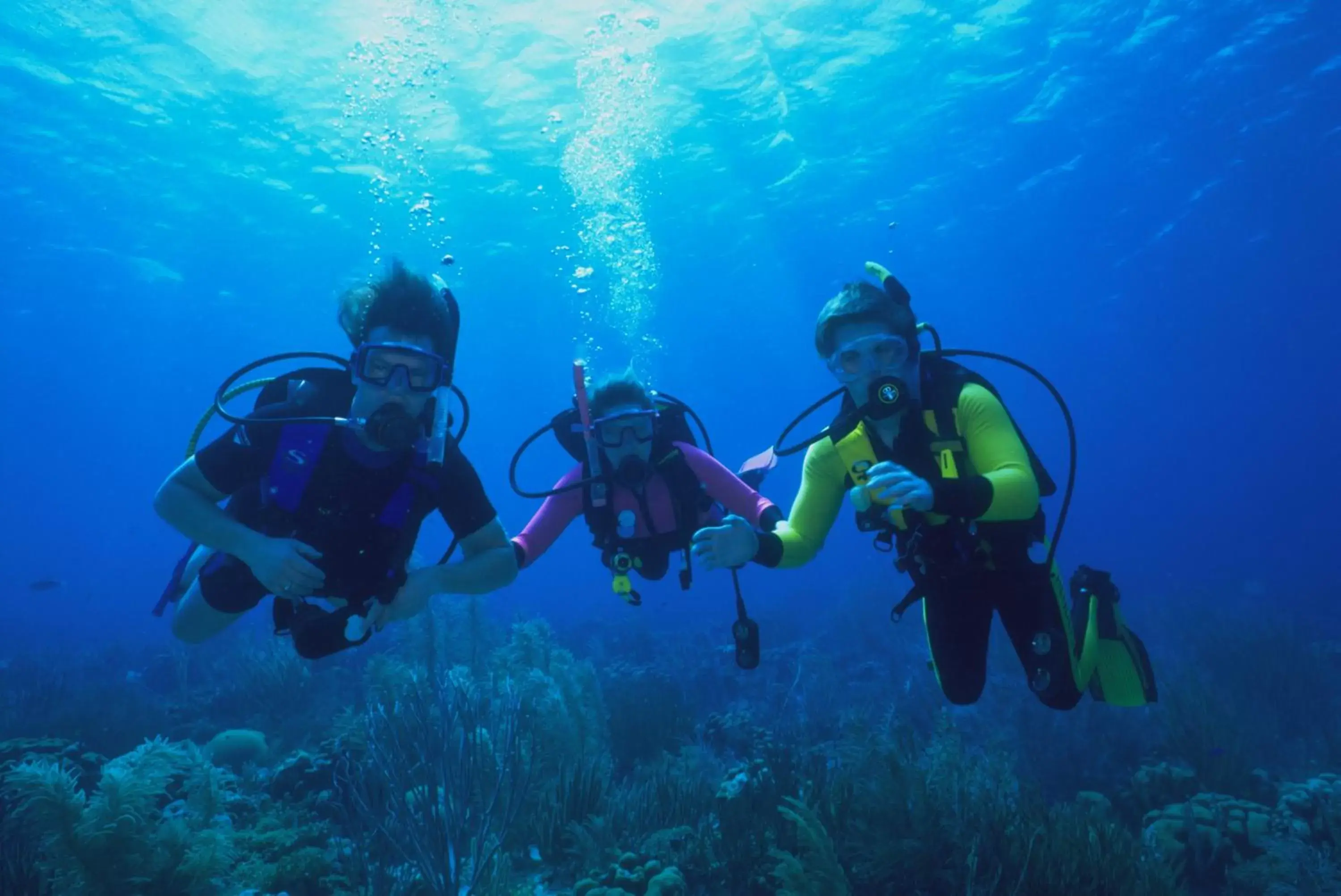 Diving, Snorkeling/Diving in Harbour Village Beach Club