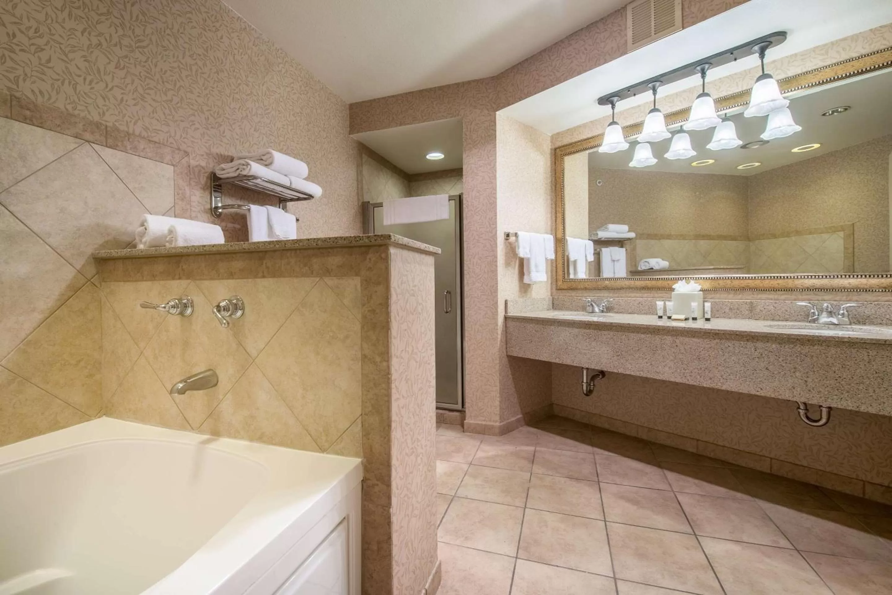 Bathroom in Red Lion Hotel Pasco Airport & Conference Center