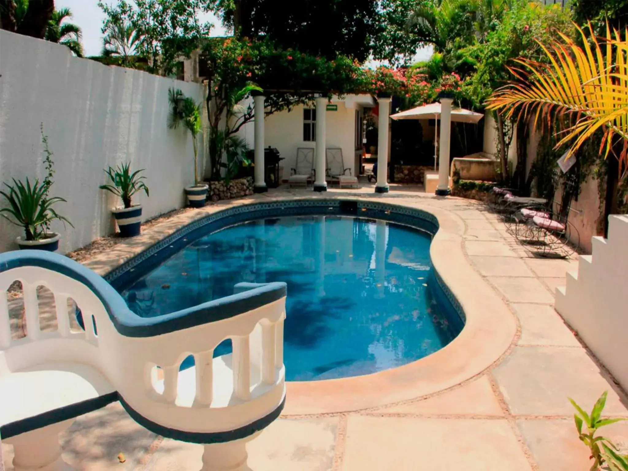 Pool view, Swimming Pool in Hotel Zamna Boutique