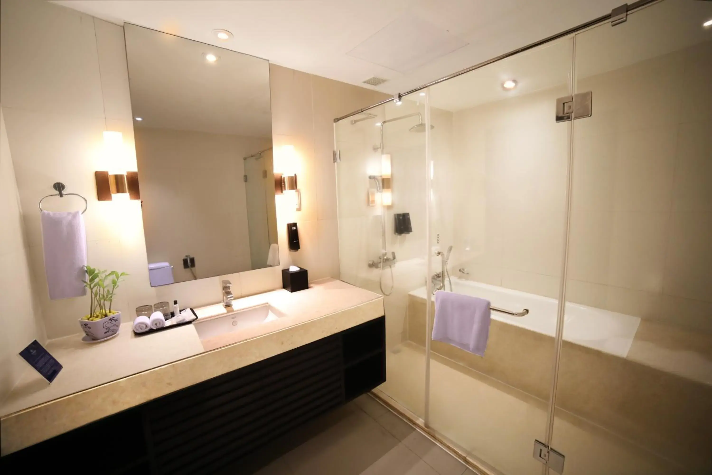 Bathroom in Somerset Greenways Chennai