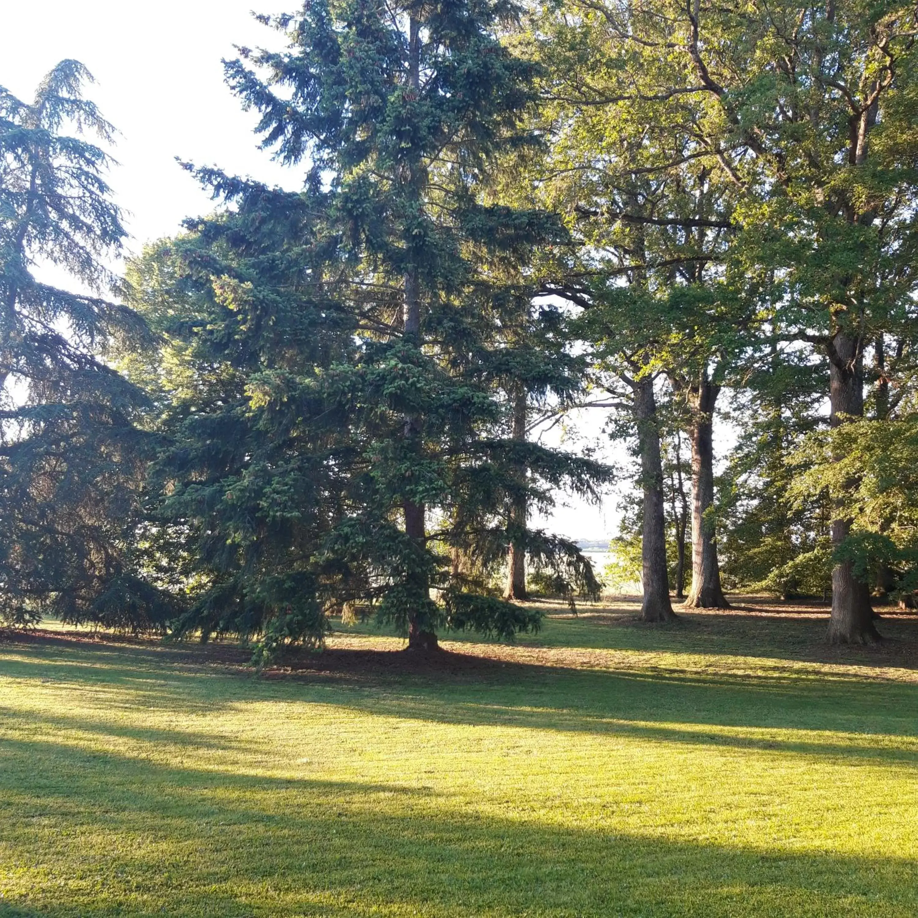 Natural landscape, Garden in L'EDEN proche du Zoo de Beauval de Saint Aignan