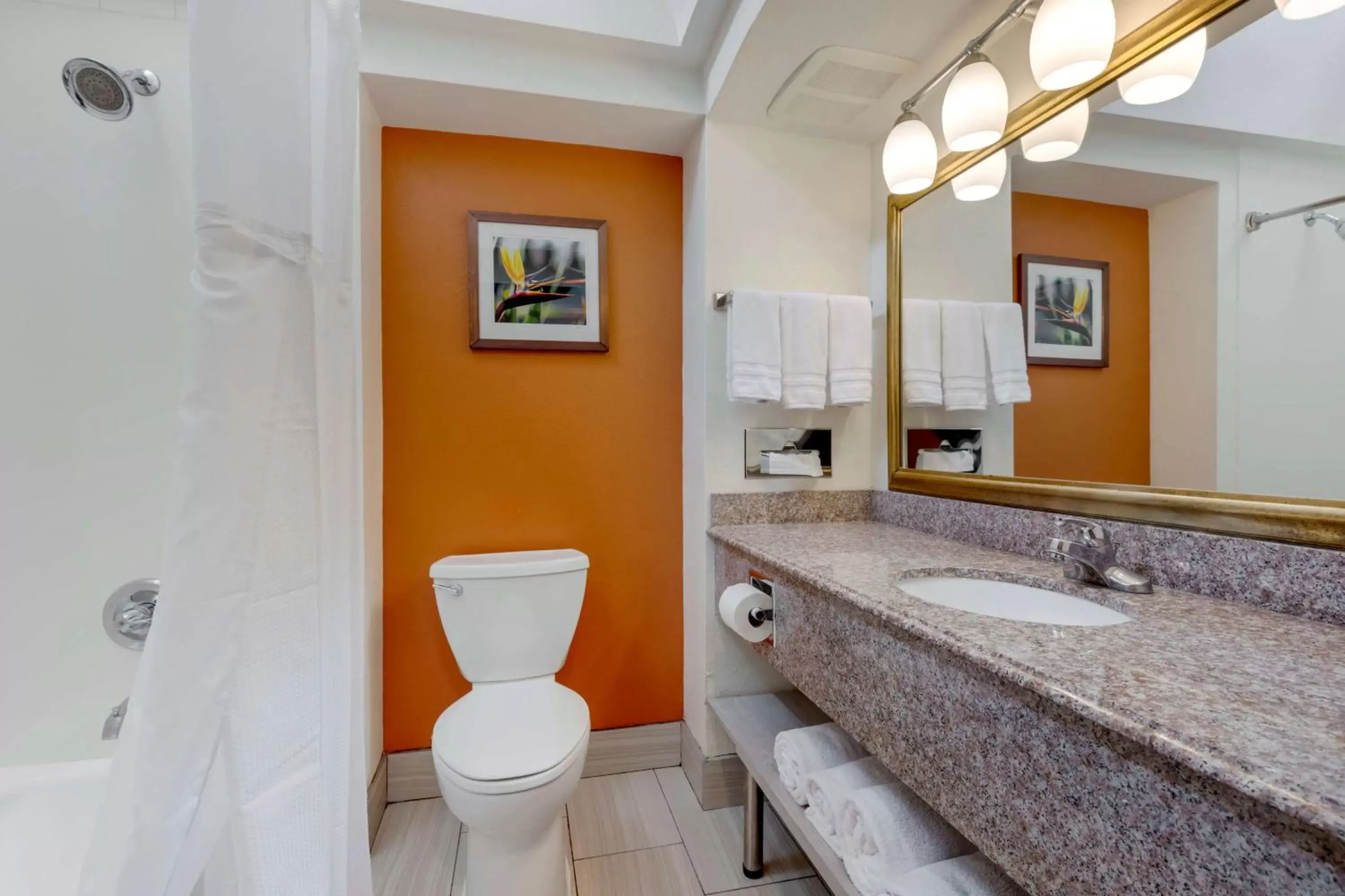 Bathroom in Best Western PLUS Rockwall Inn & Suites