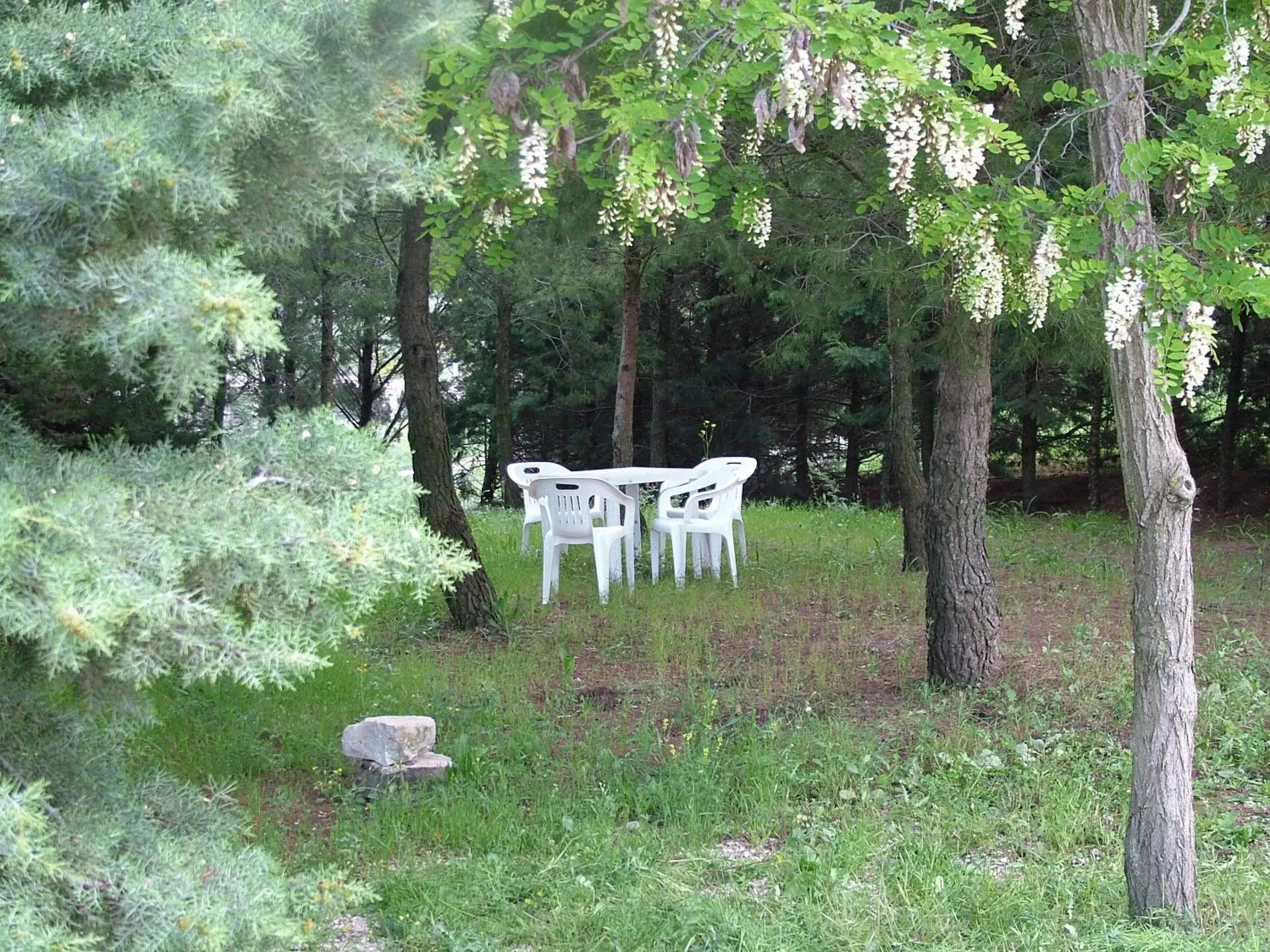 Garden in B&B & Residence Pozzo Misseo