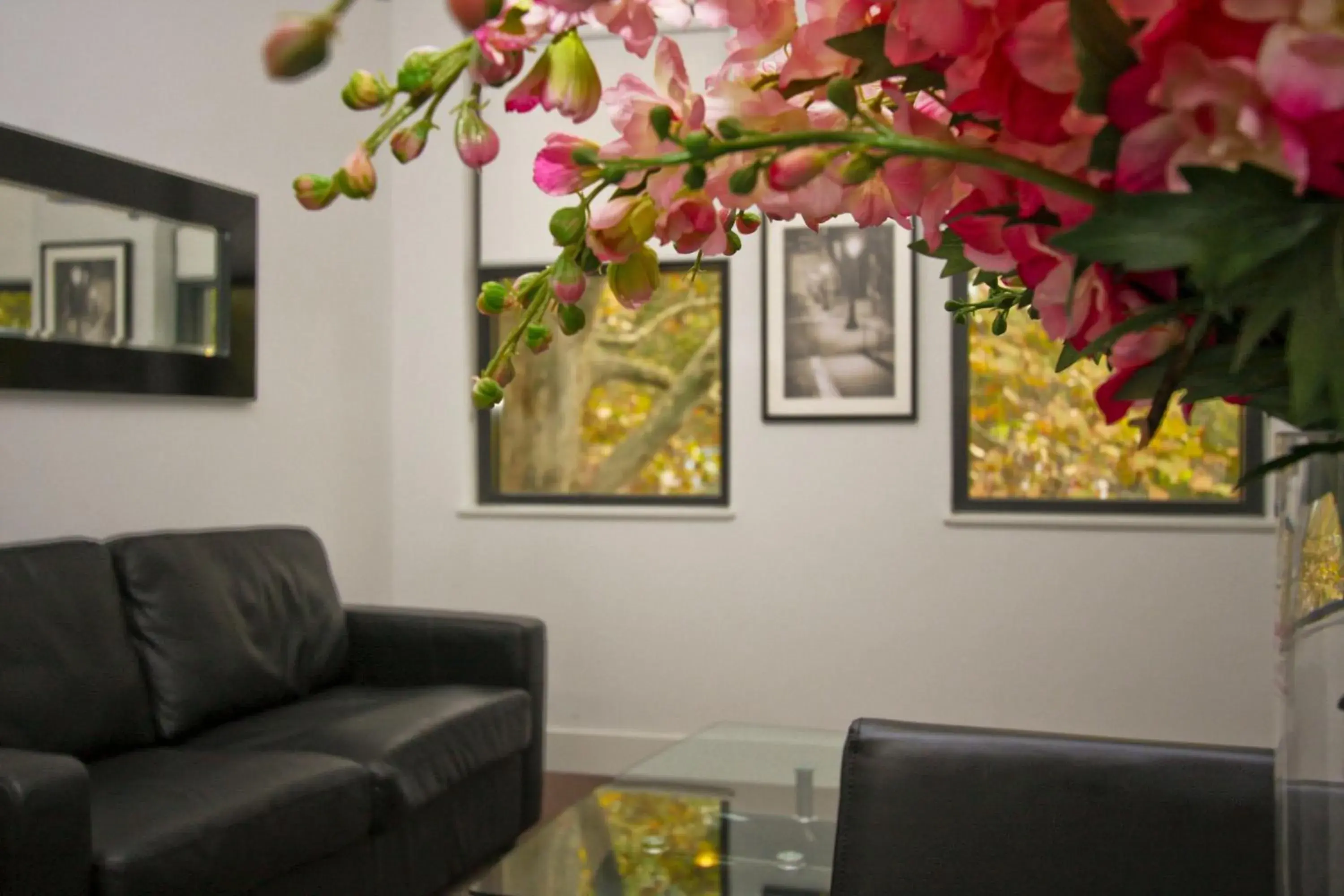 Living room, Seating Area in The Star Apartments