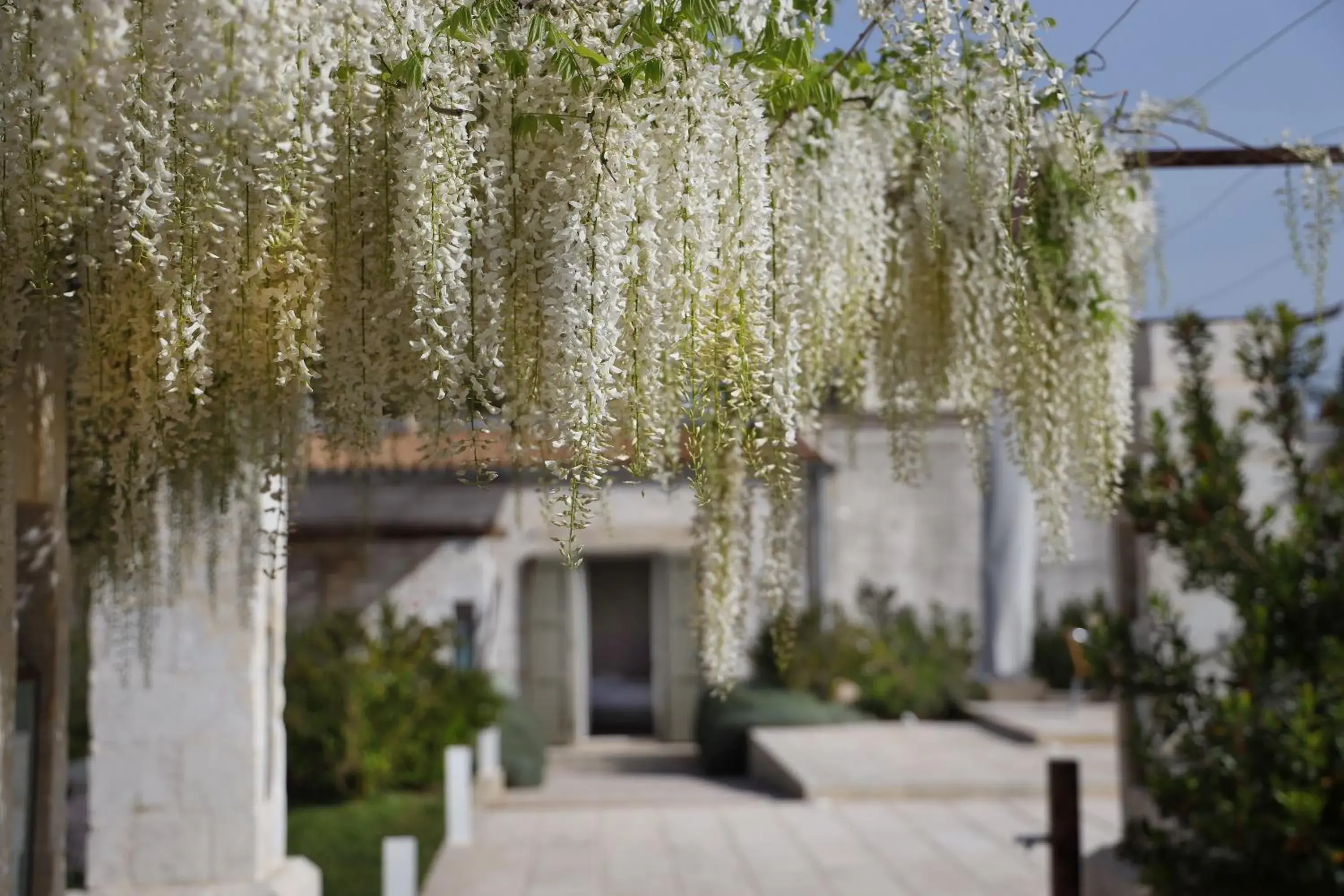 Patio, Property Building in Borgo Sentinella