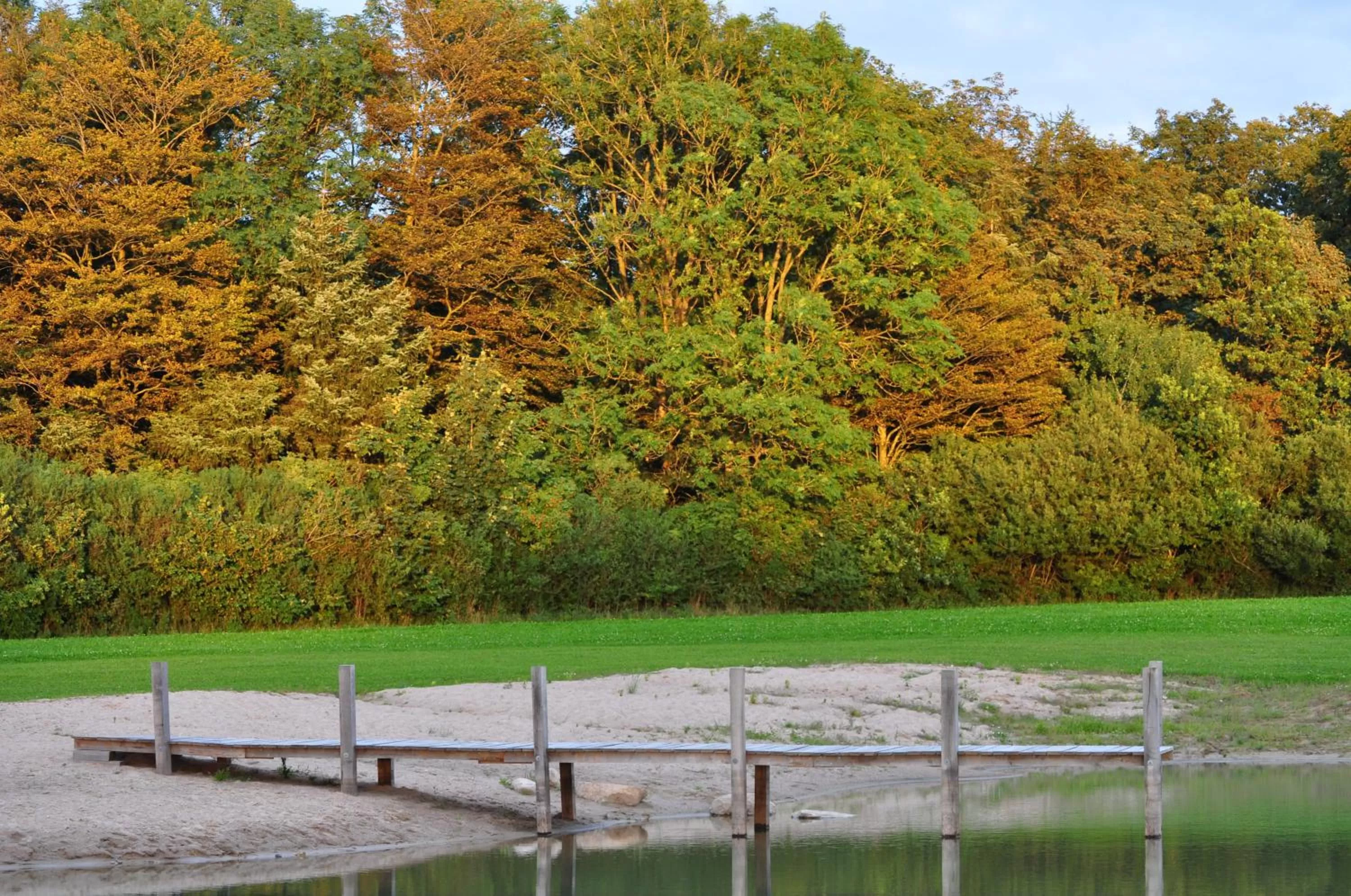 Swimming pool in Koebenhovedskov Bed & Breakfast