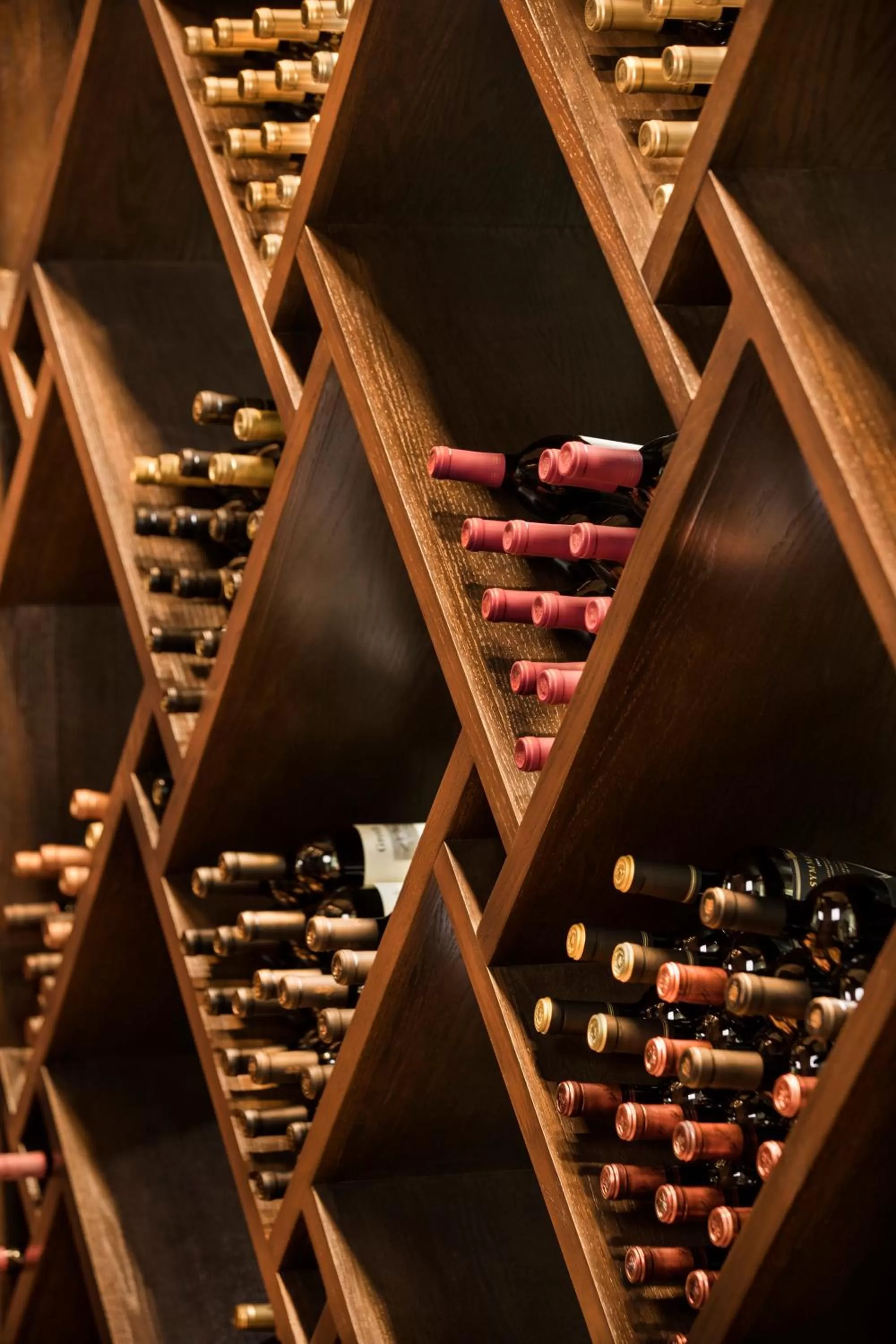 Lounge or bar in Texas A&M Hotel and Conference Center