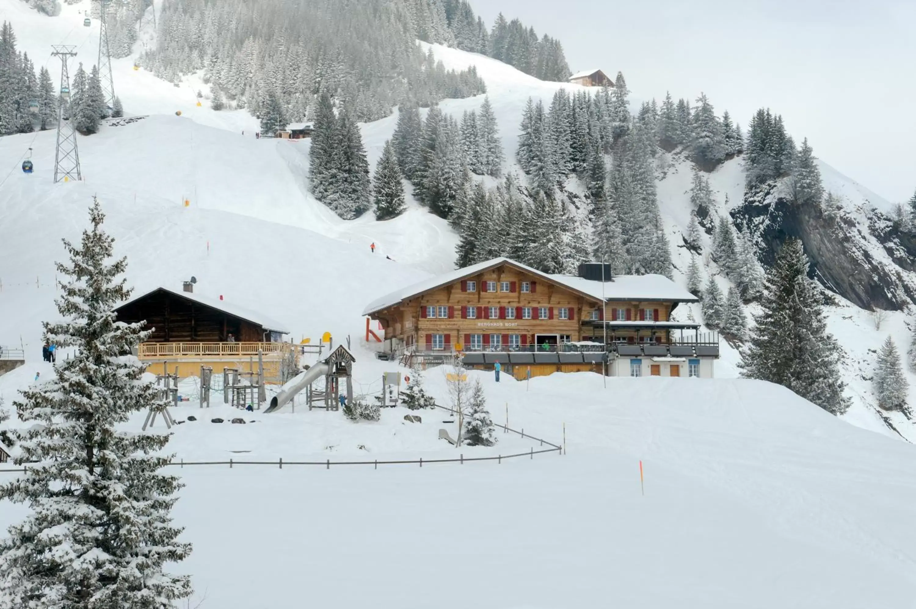 Facade/entrance, Winter in Alpinhotel Bort