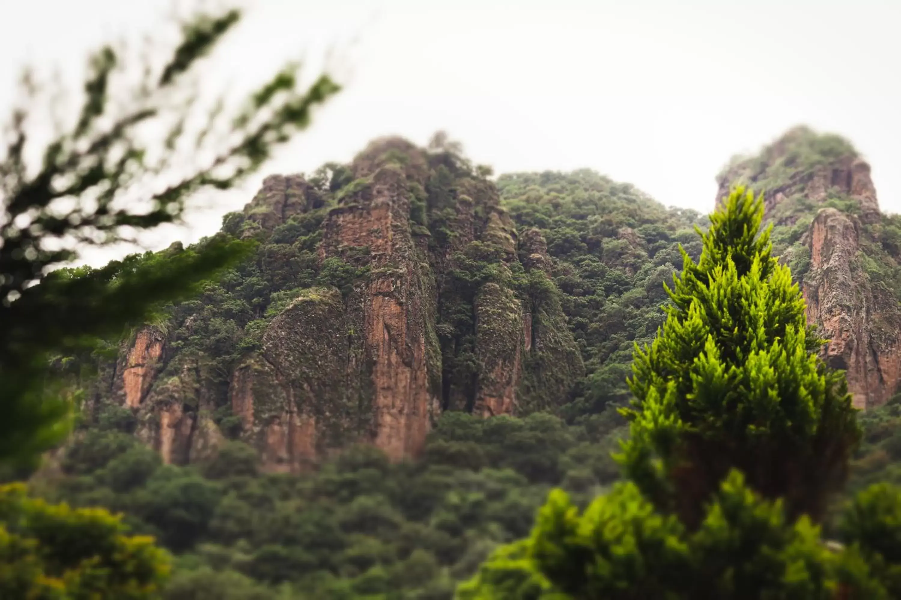 Natural landscape in Posada La Presa