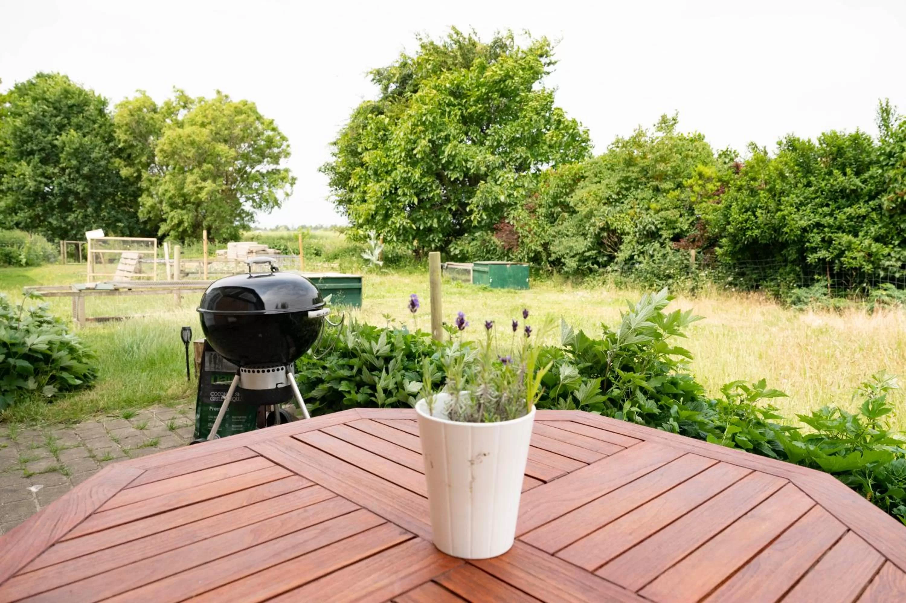 Garden view in Skortskær Bondegårdsferie