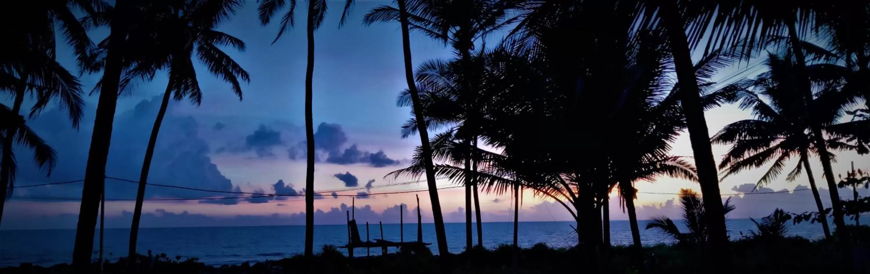 Garden in White Shell