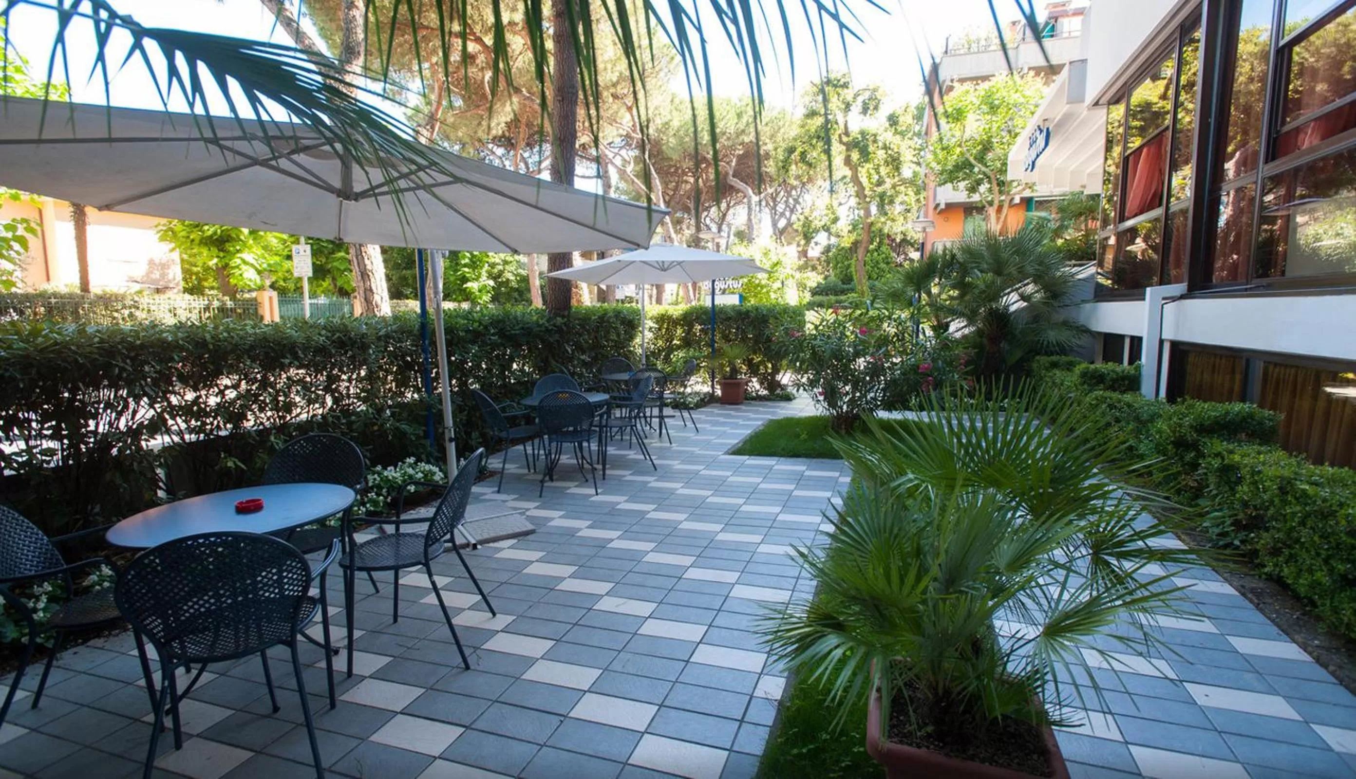 Garden, Swimming Pool in Hotel Augustus