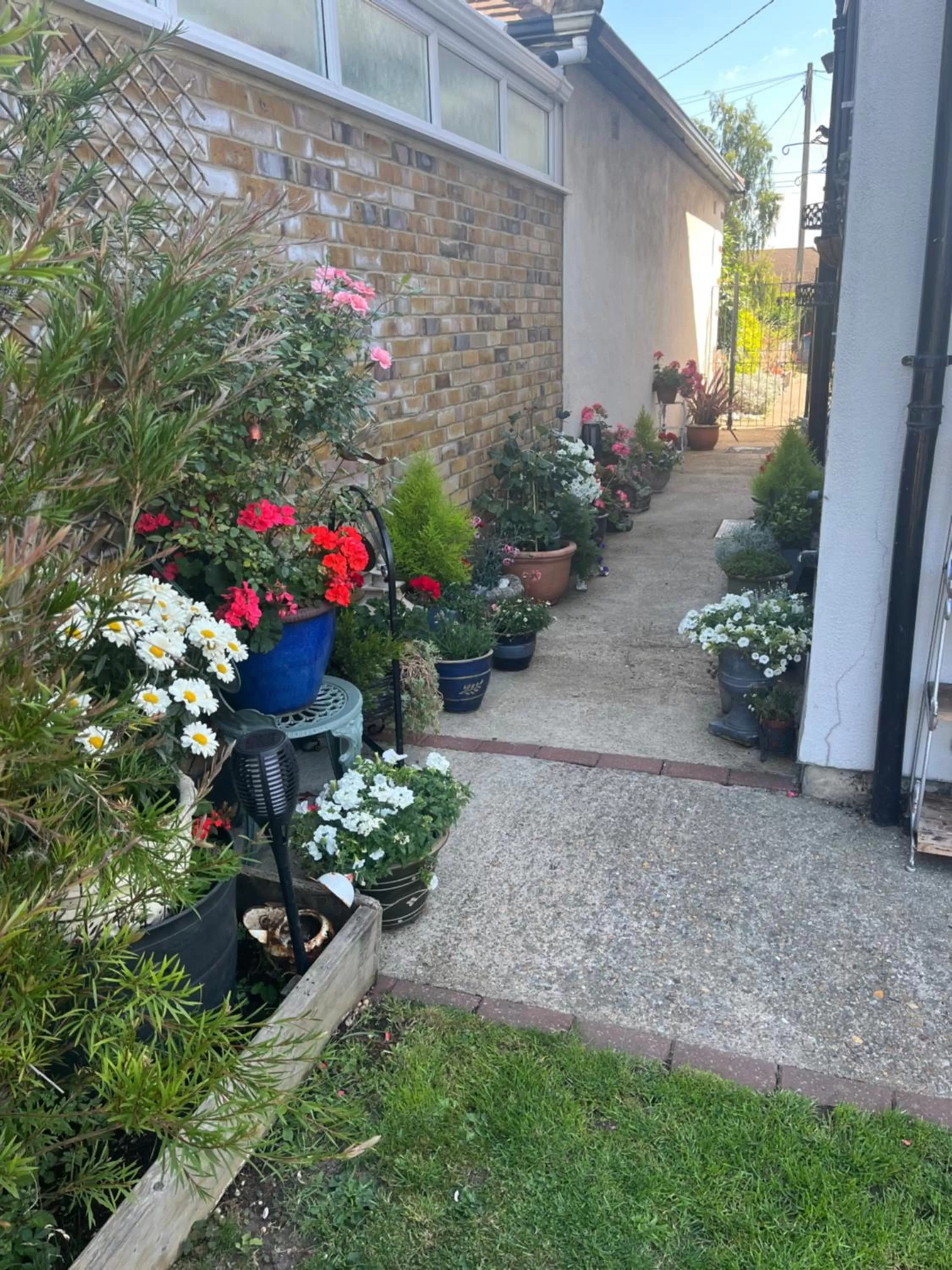 Garden in Southend Airport Bed & Breakfast