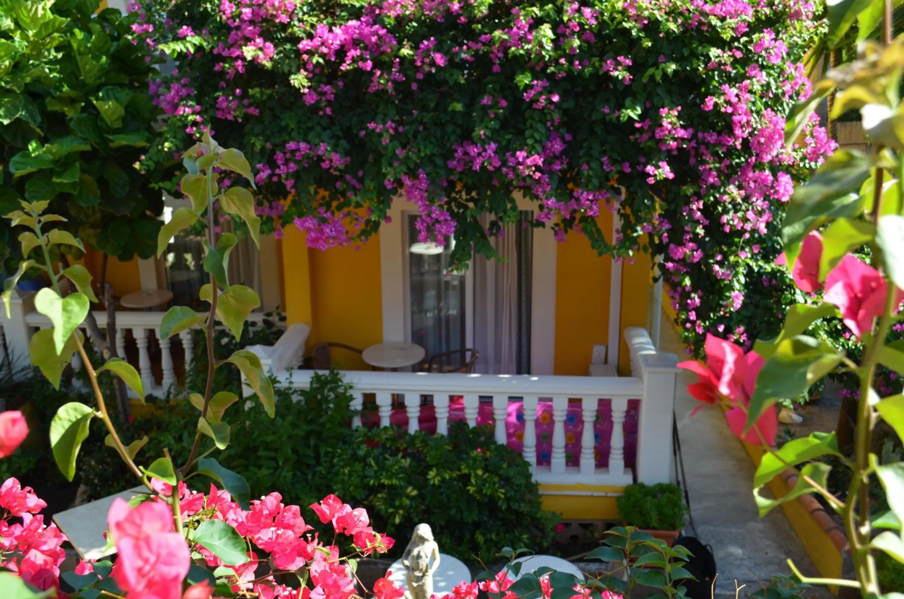 Facade/entrance in Hotel Cupidor