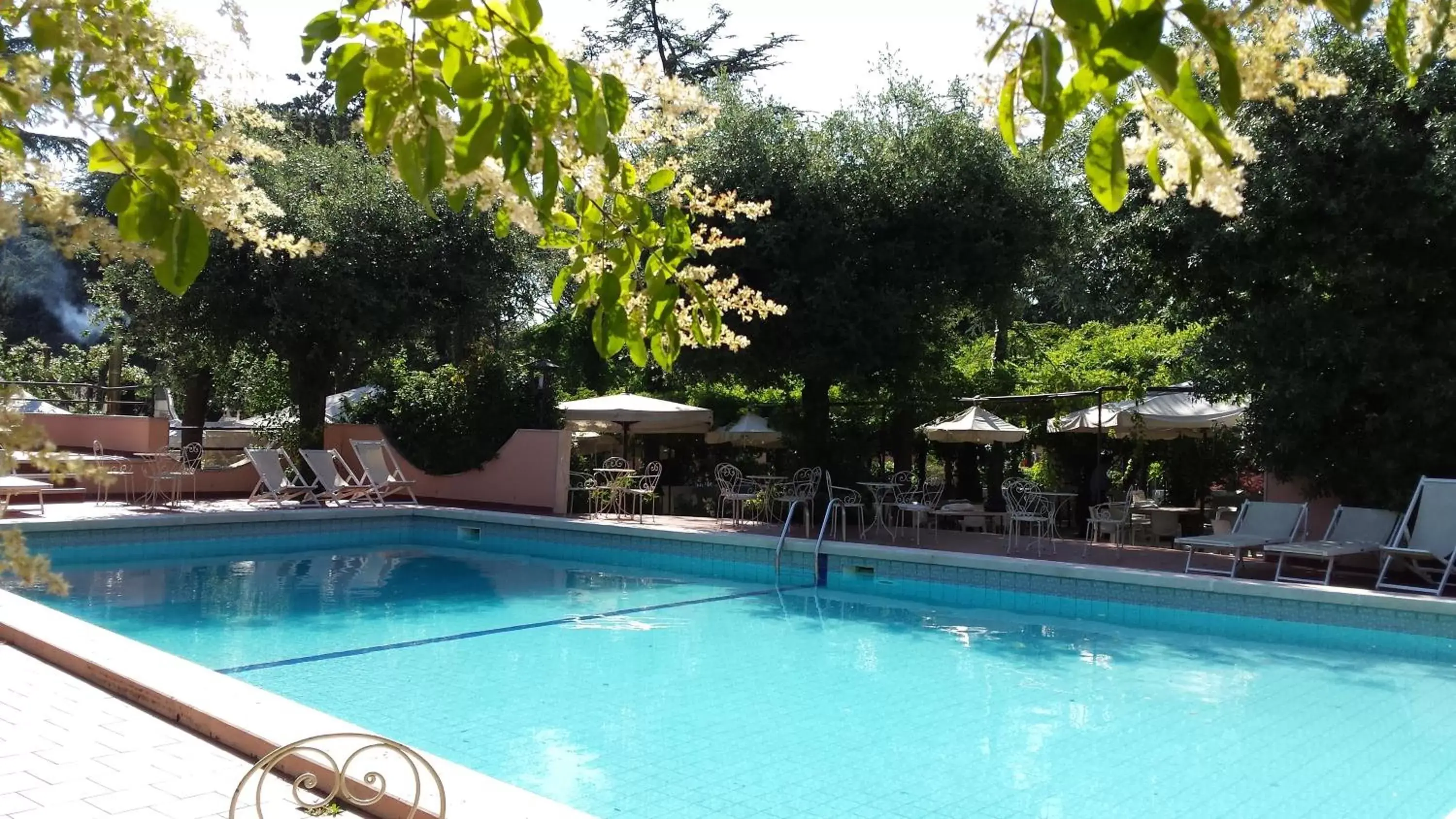 Swimming Pool in Park Hotel San Michele