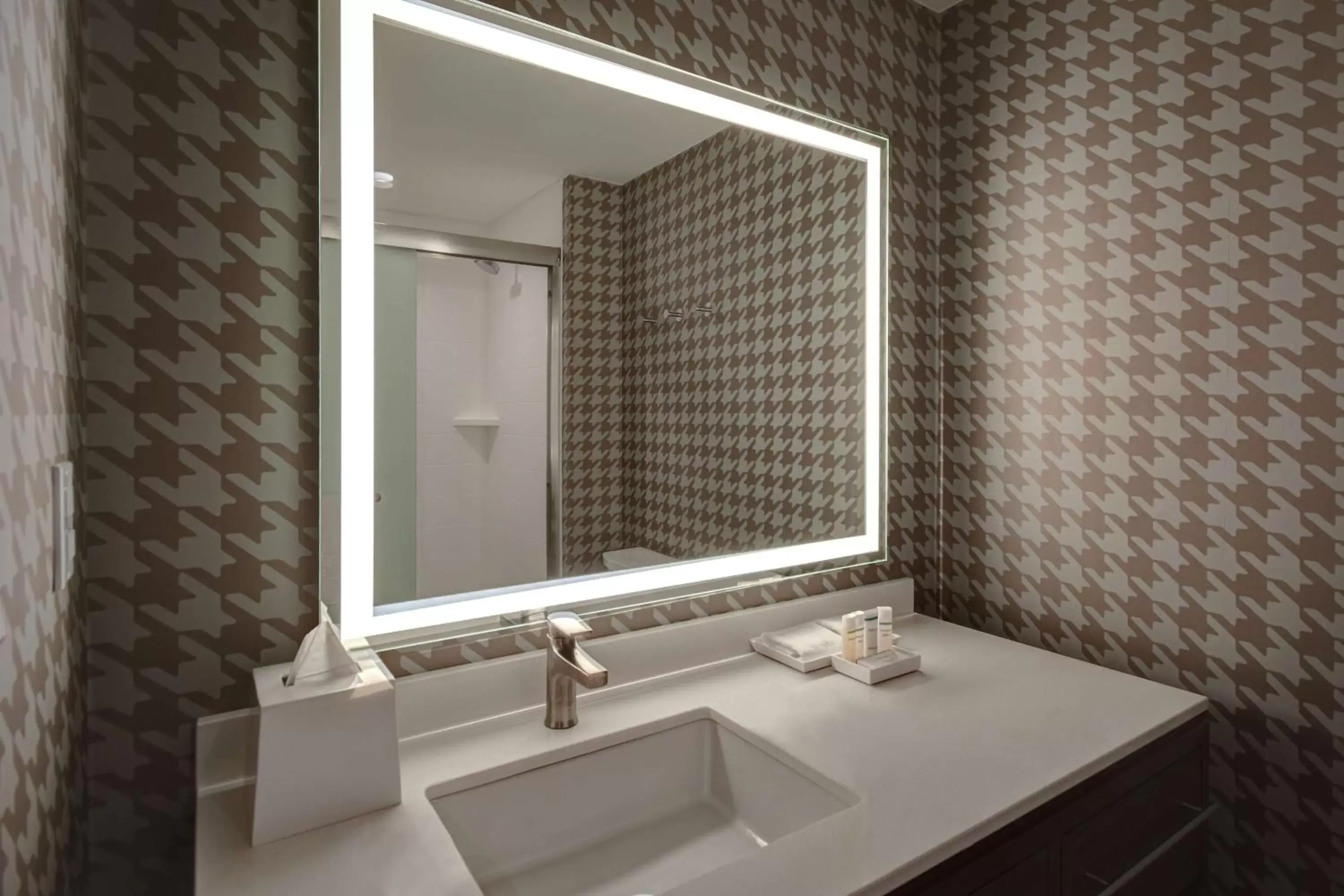 Bathroom in Home2 Suites By Hilton Detroit-Troy, Mi