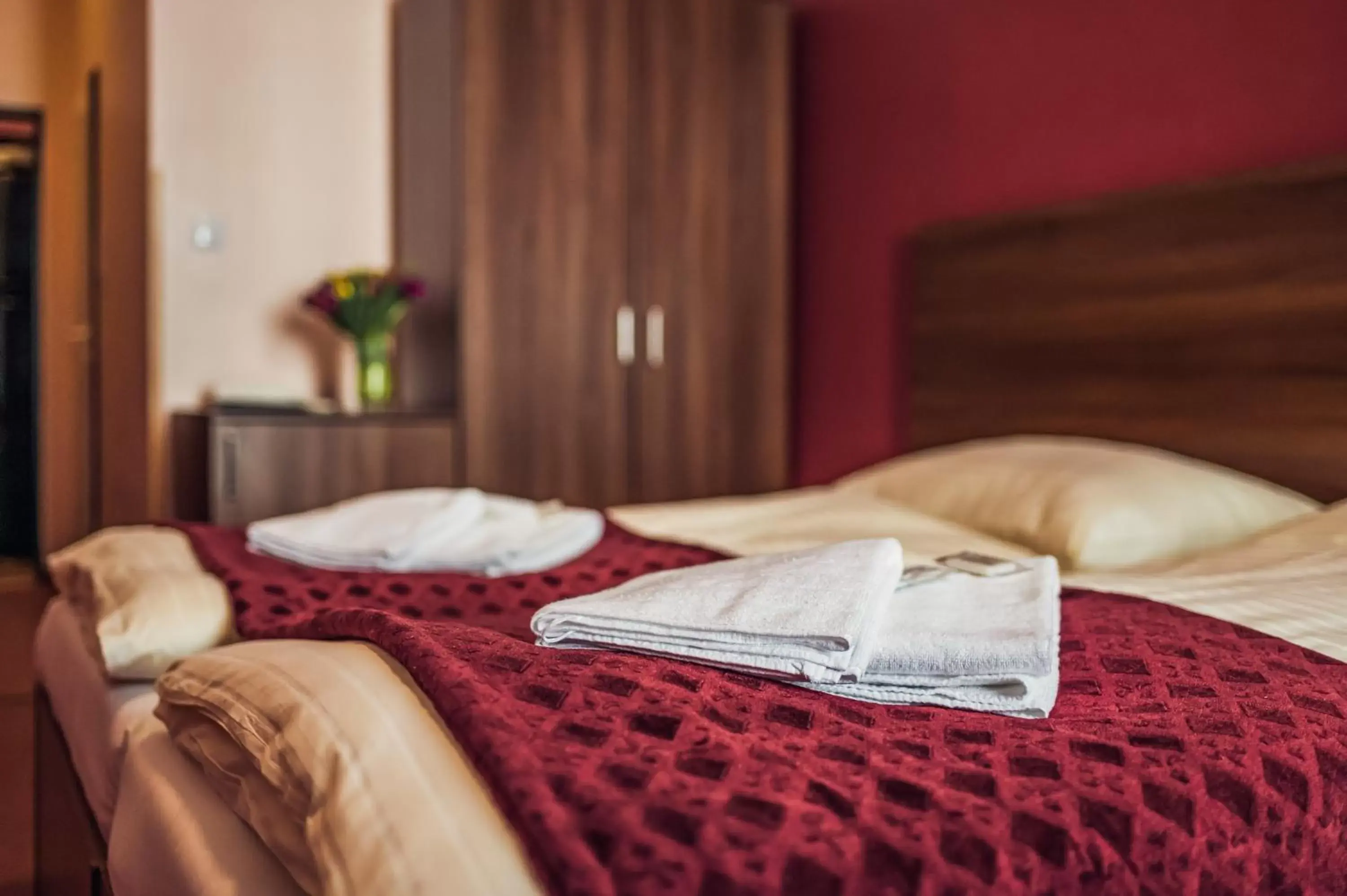 Bed in Hotel Czechia