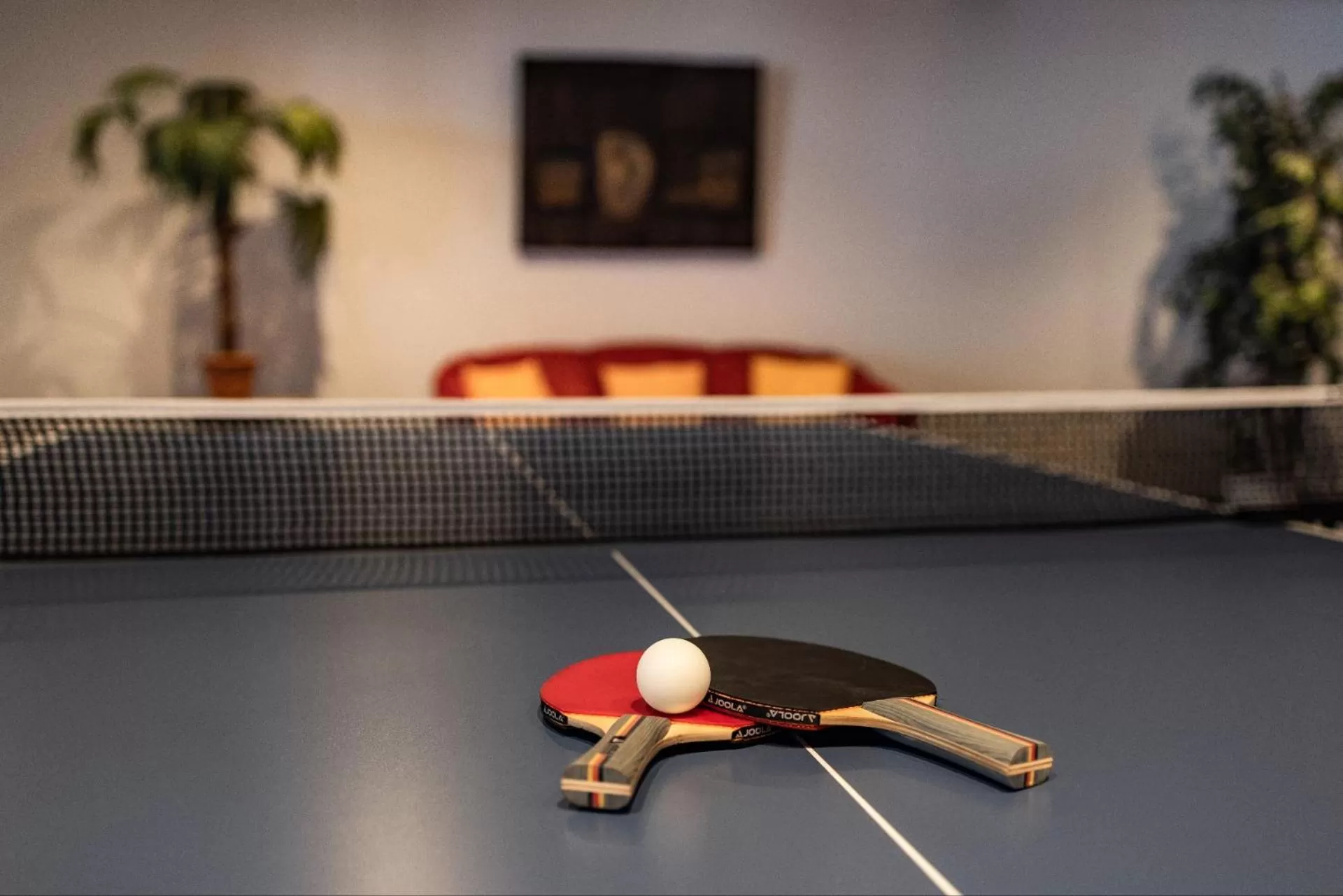 Table tennis in Alm- & Wellnesshotel Alpenhof
