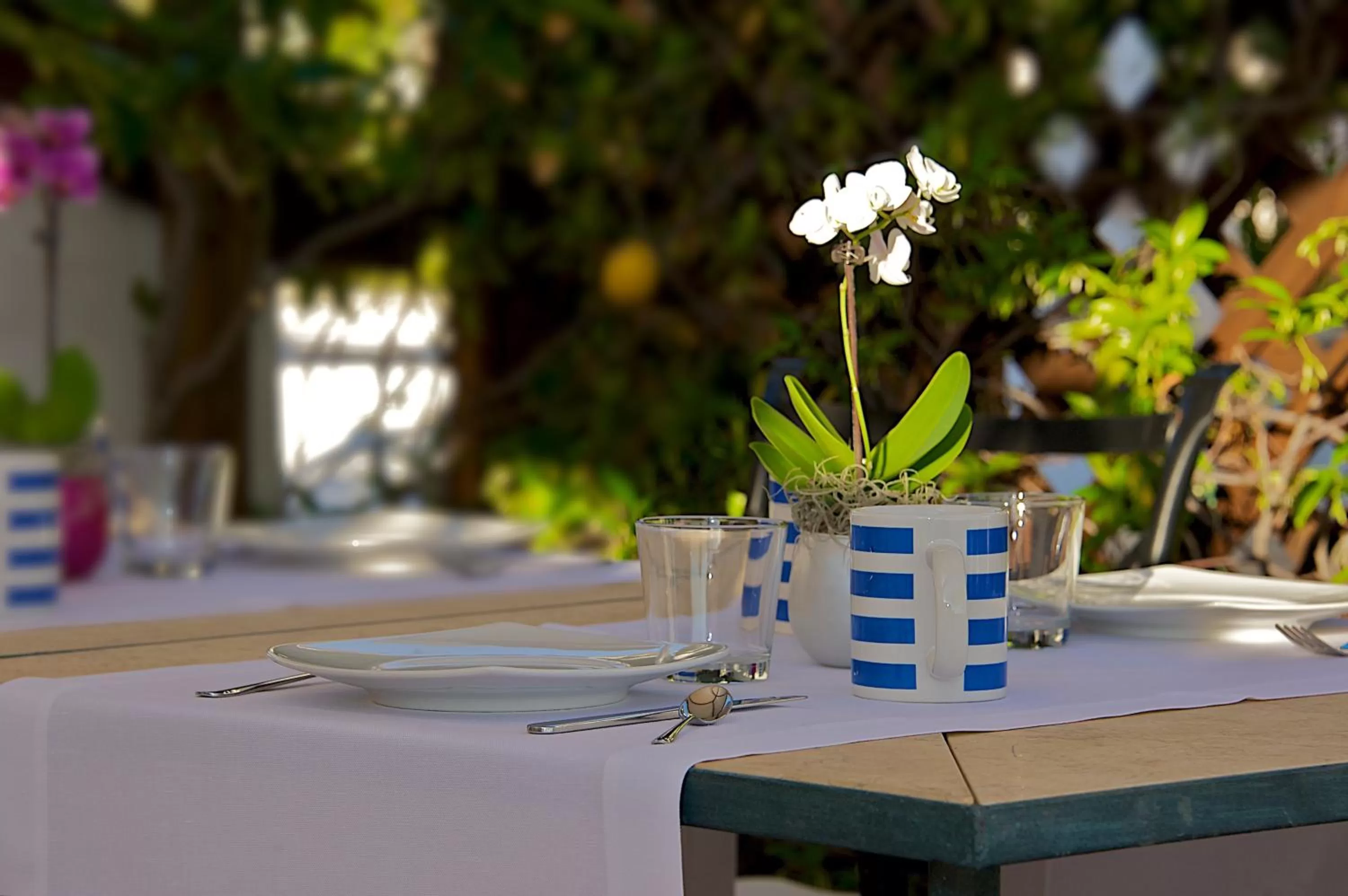 Balcony/Terrace in Villa Lieta