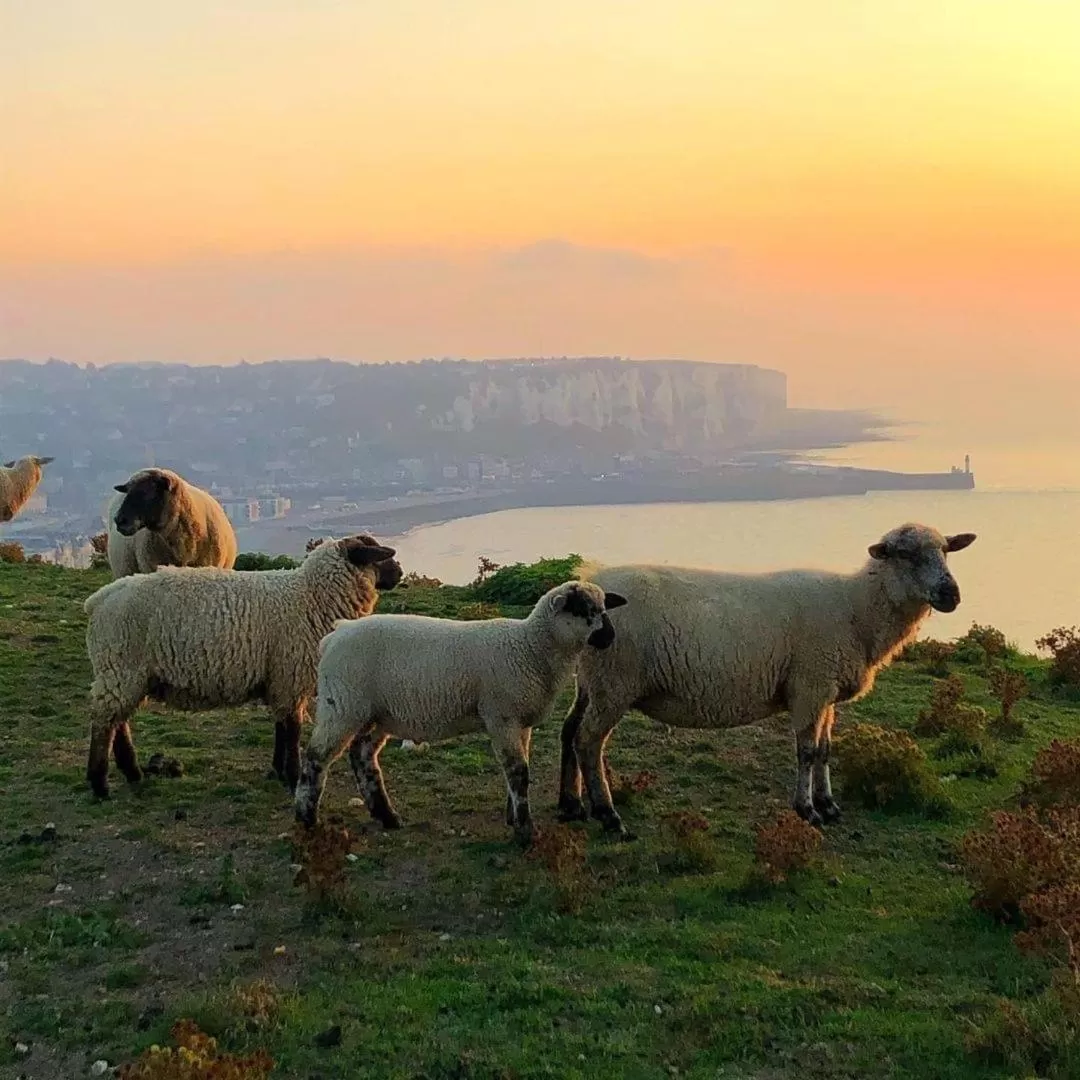 Day in Brise du Large - Maison d'Ault