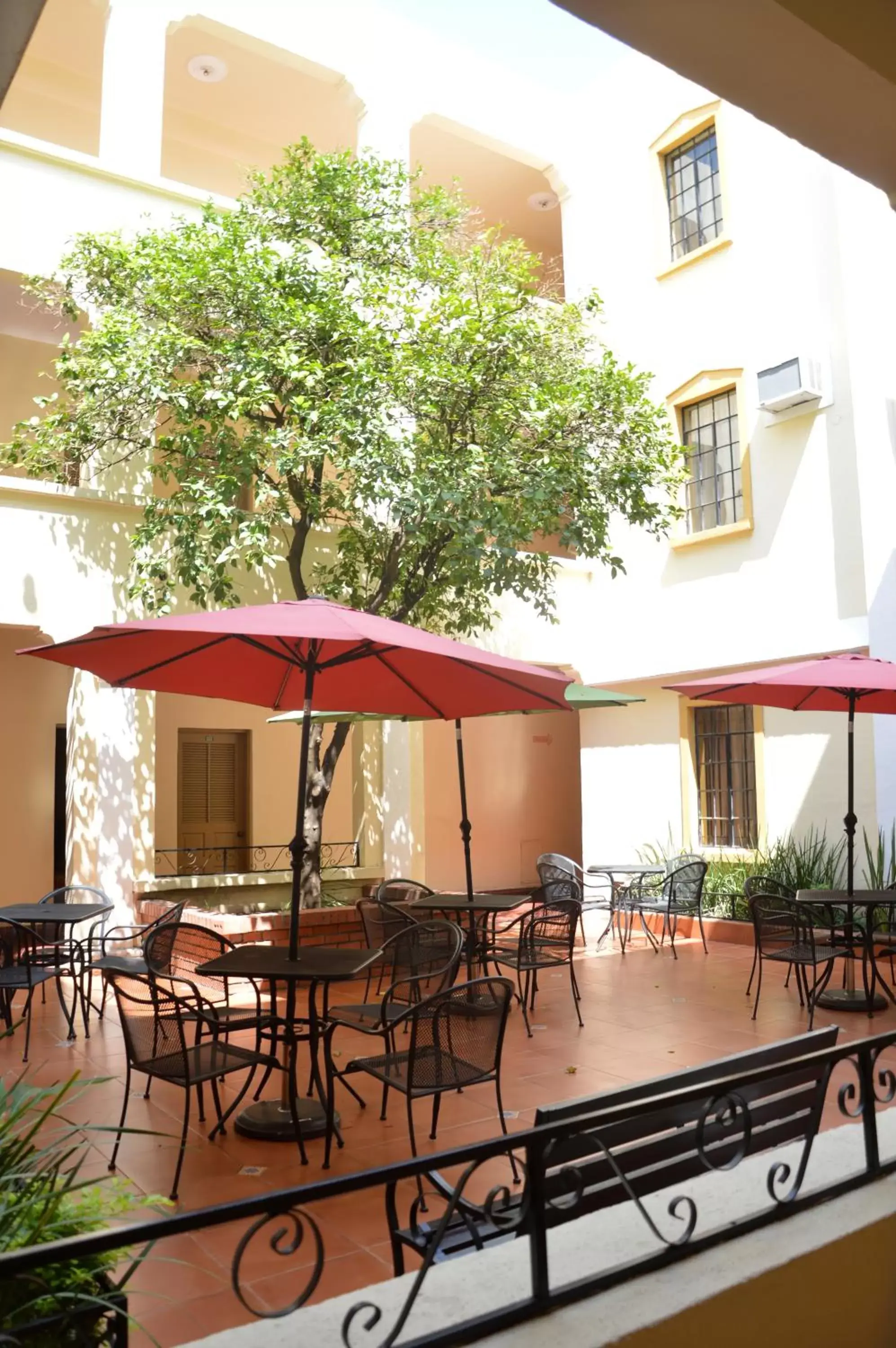 Garden, Property Building in Hotel Los Monteros