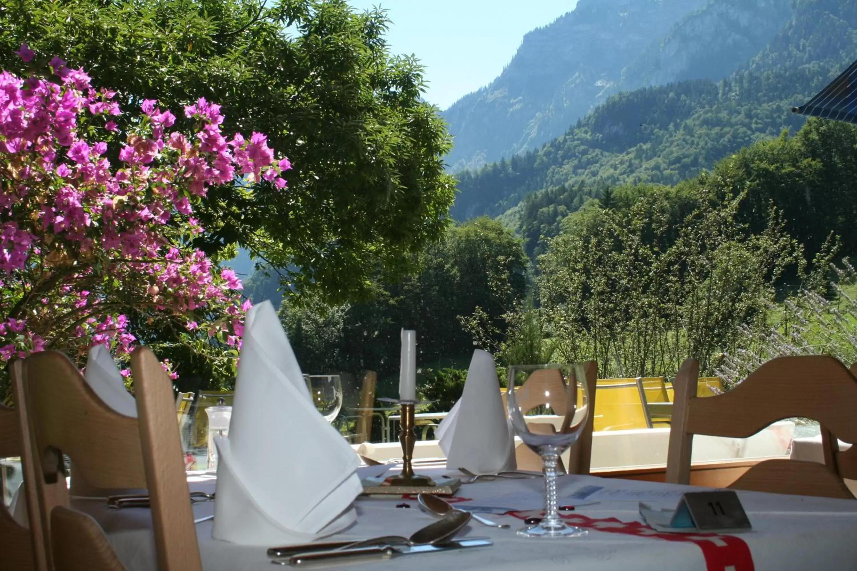 Mountain view, Restaurant/Places to Eat in Hotel Berghof Amaranth